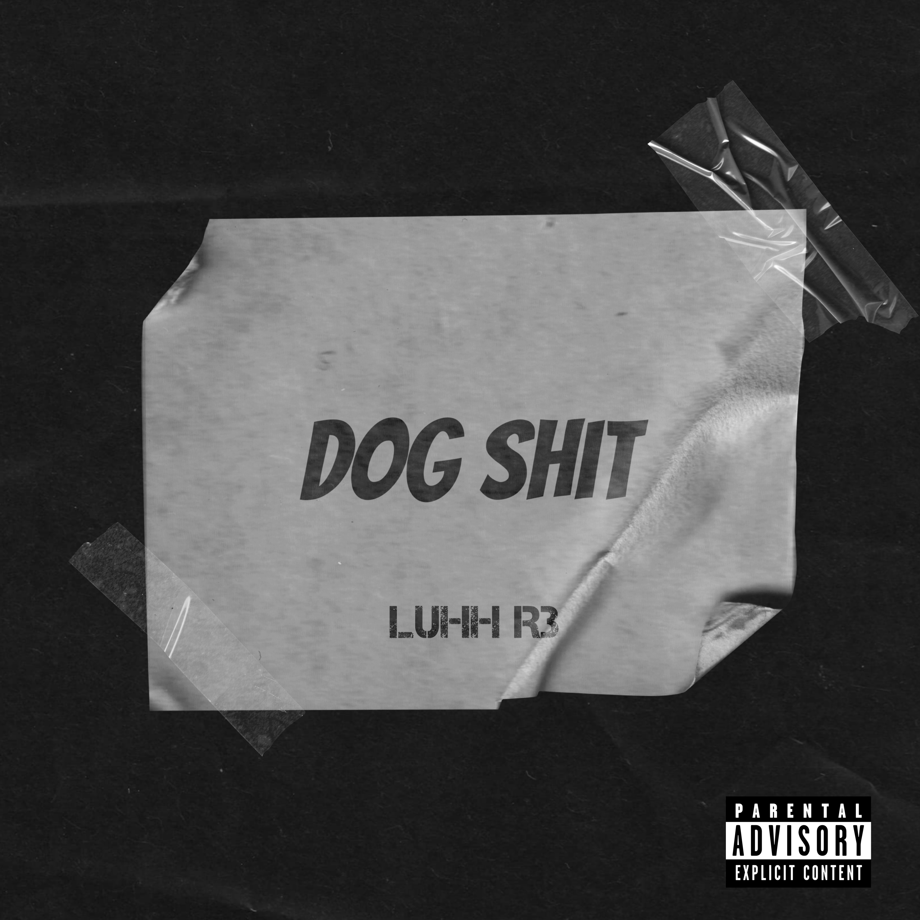 Dog Shit artwork