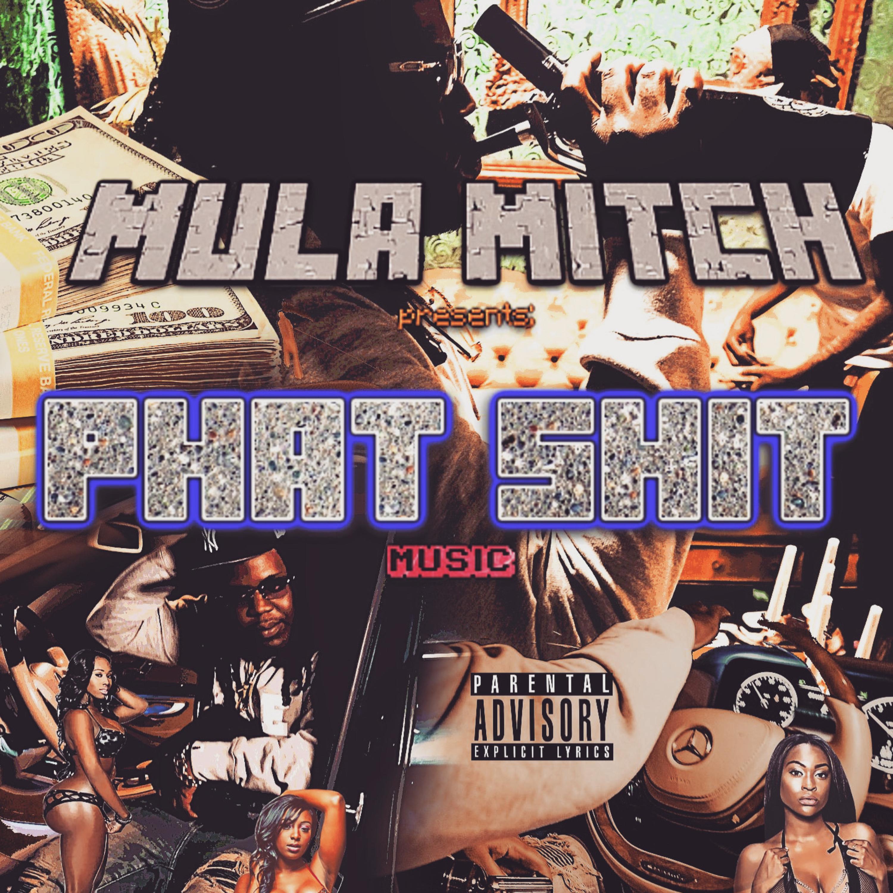 Phat Shit Music by Mula Mitch cover art