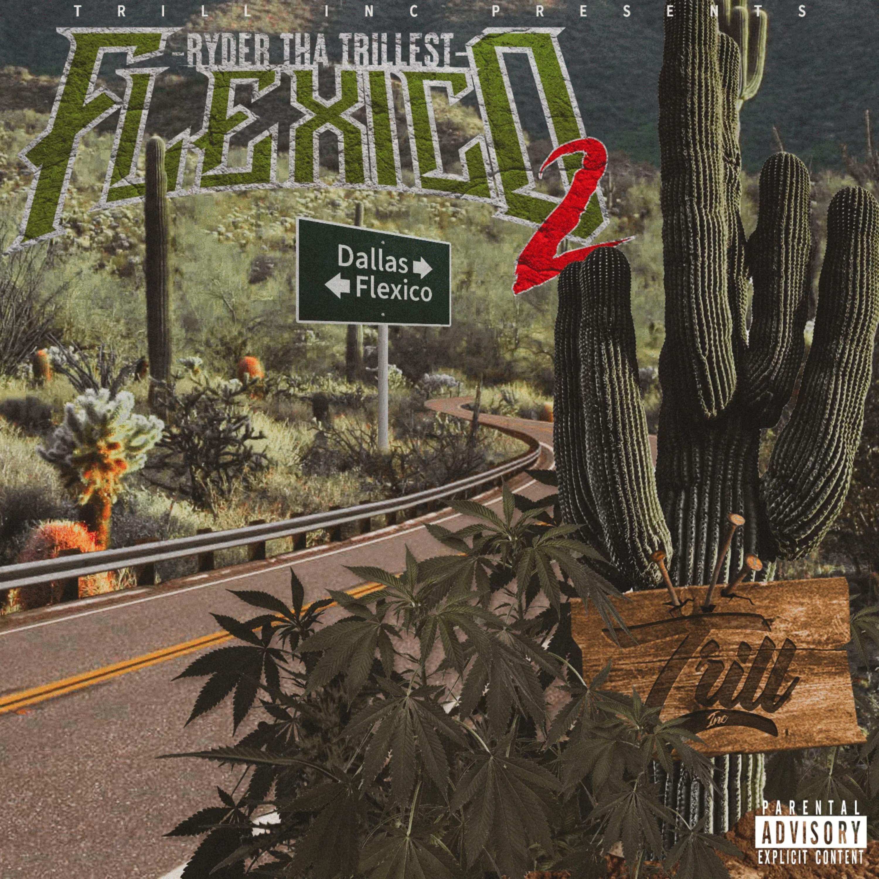 FLEXICO 2 artwork