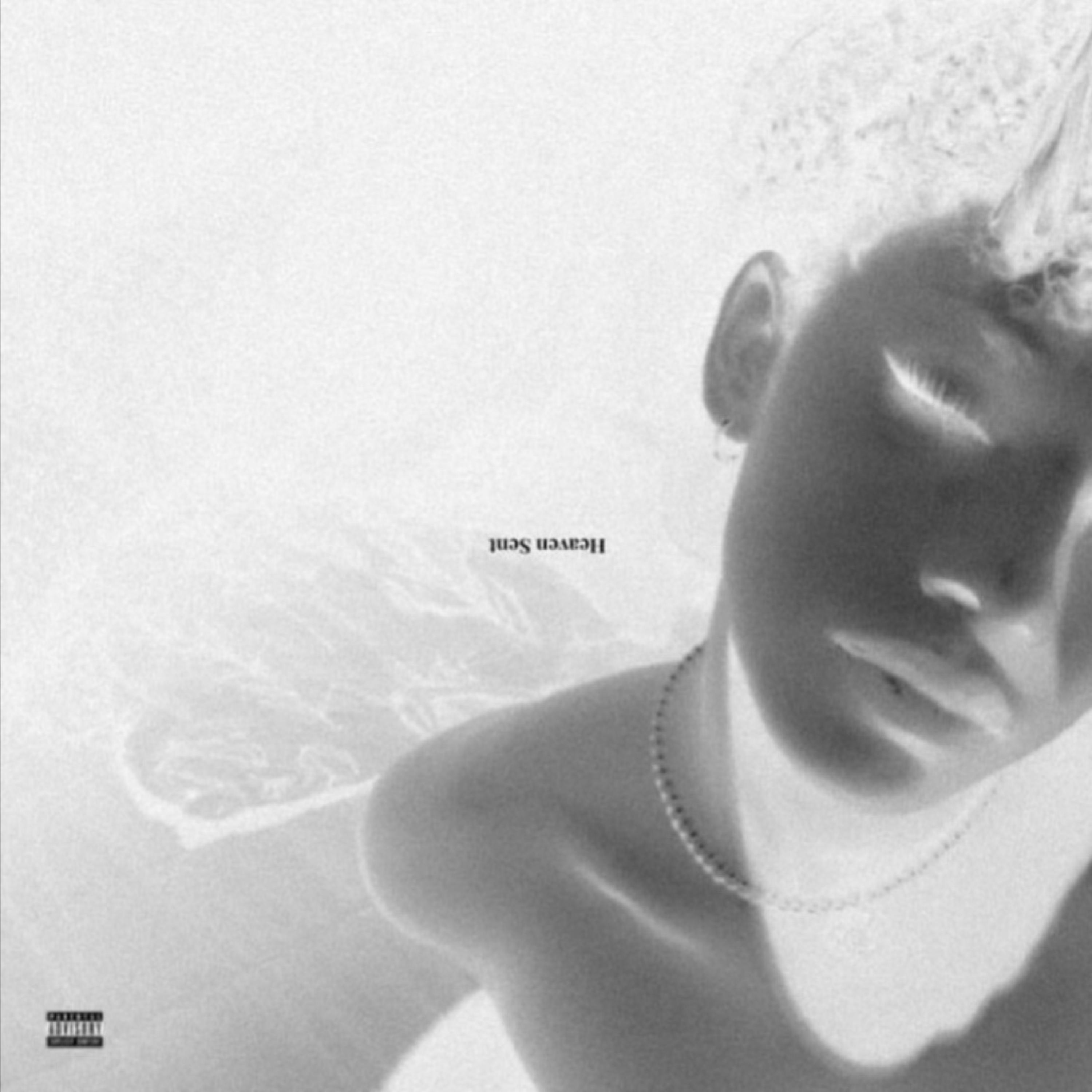 heaven sent artwork