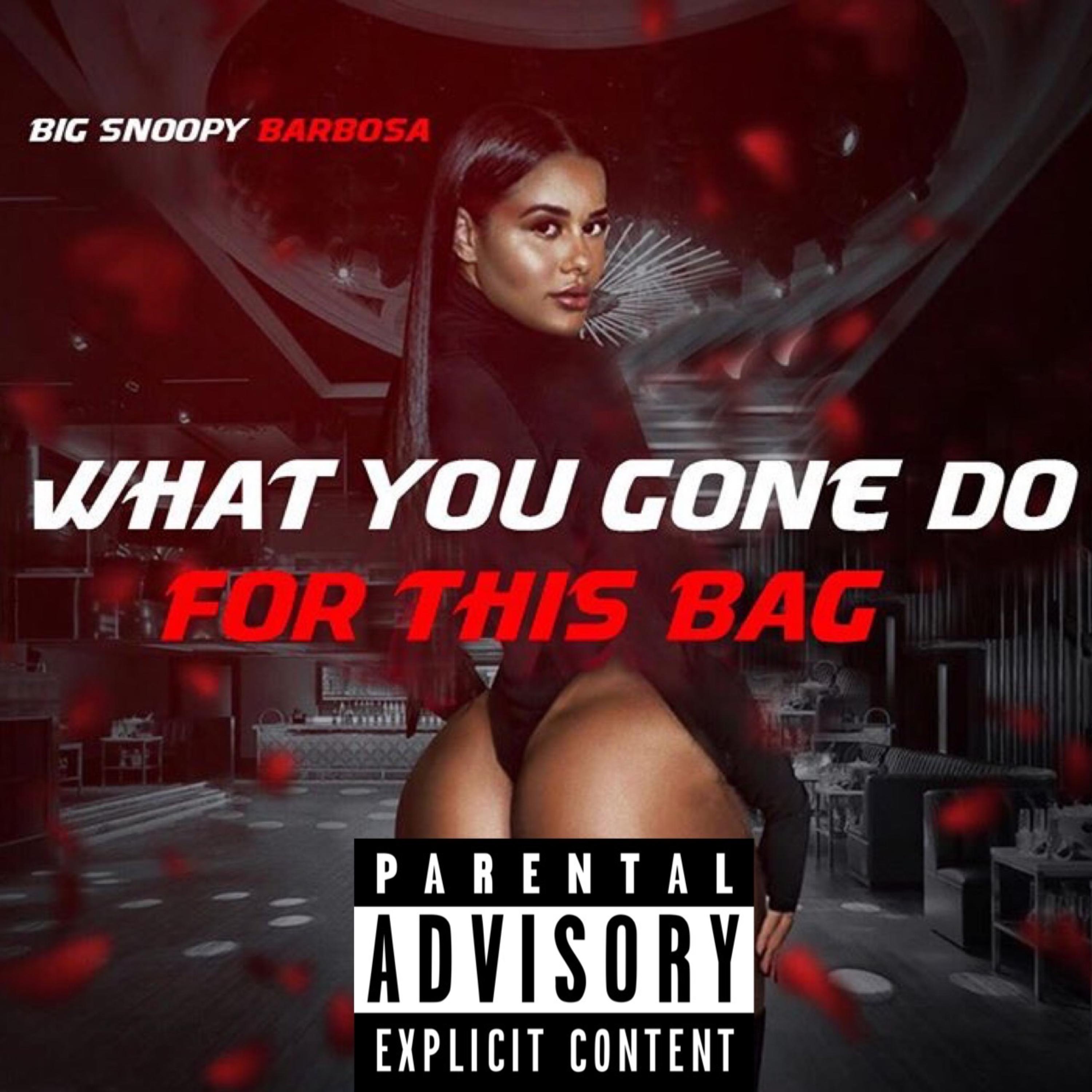 What You Gone Do For This Bag artwork