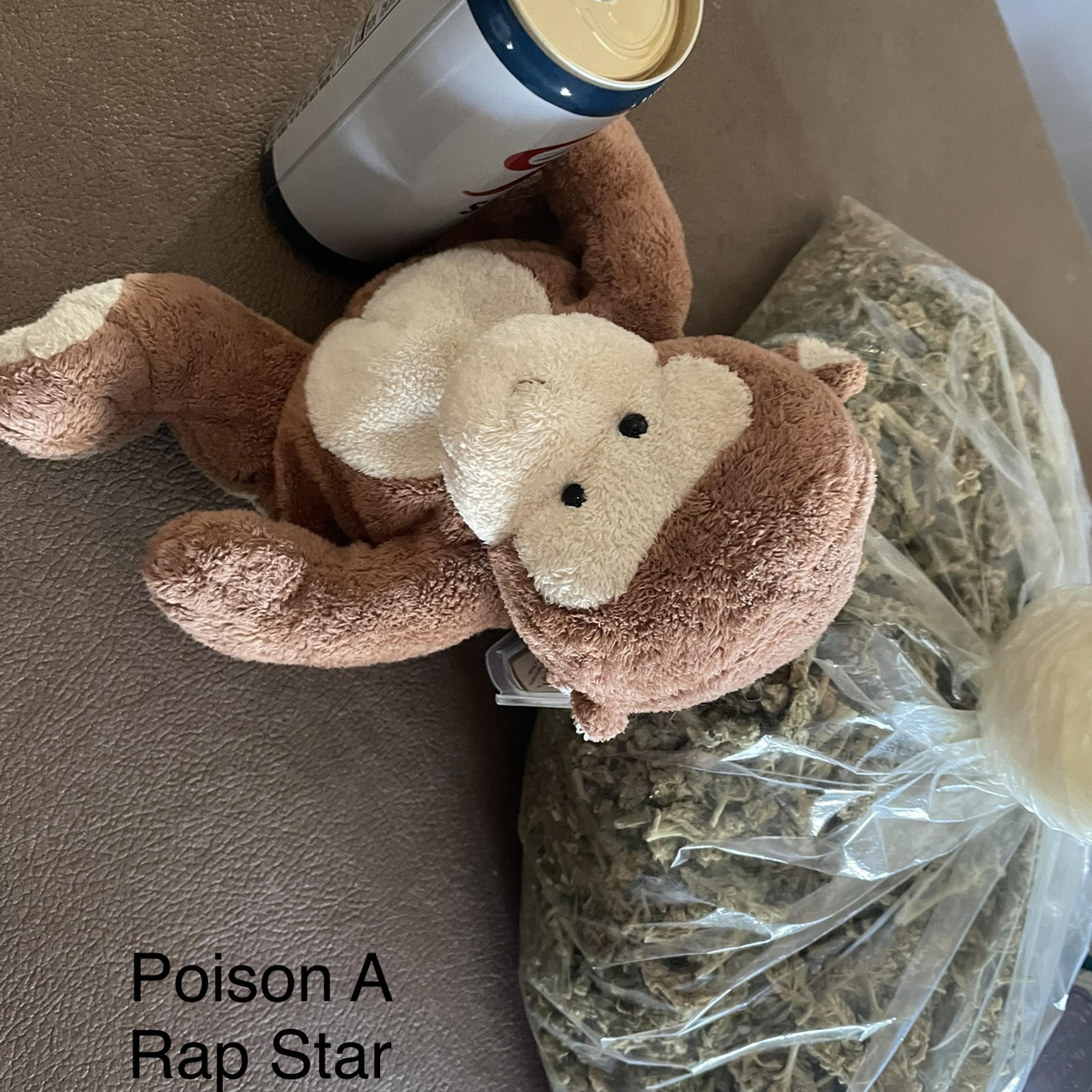 Poison A Rap Star artwork