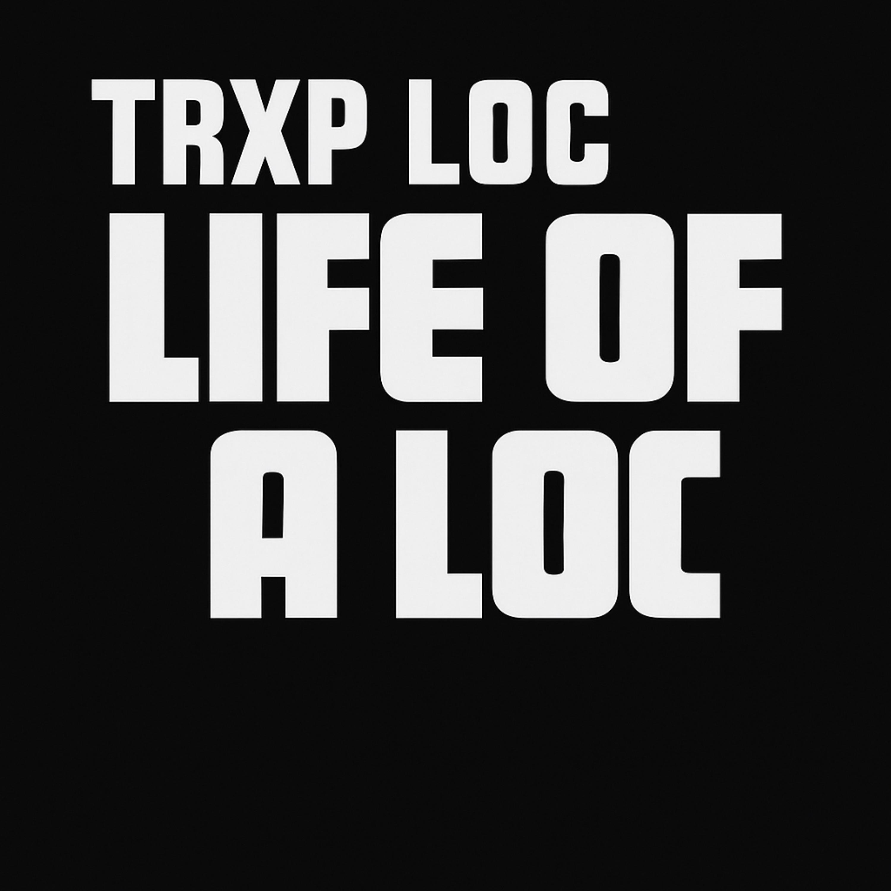Life Of A Loc artwork