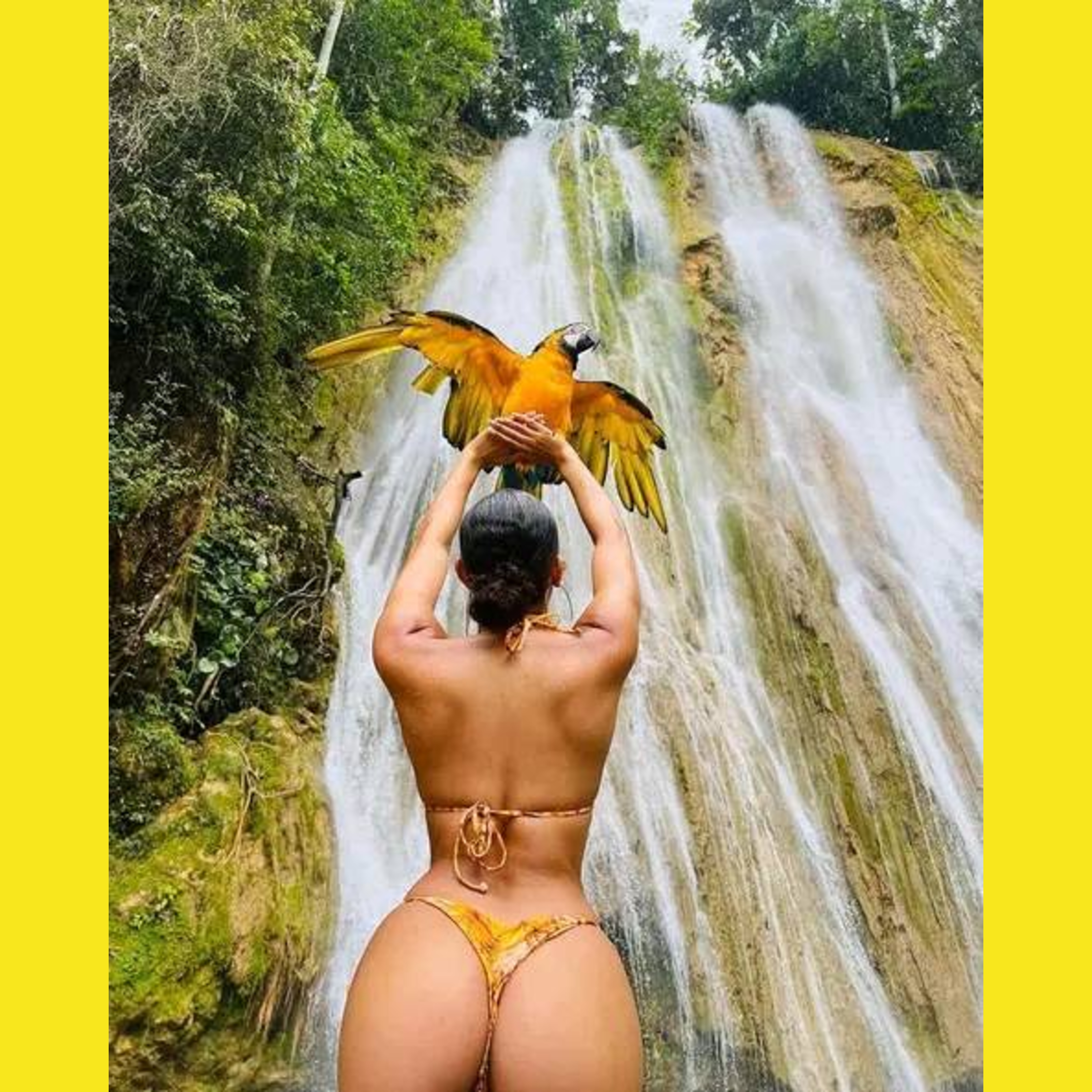 BRING IT TO ME BRAZILLIAN MIX artwork