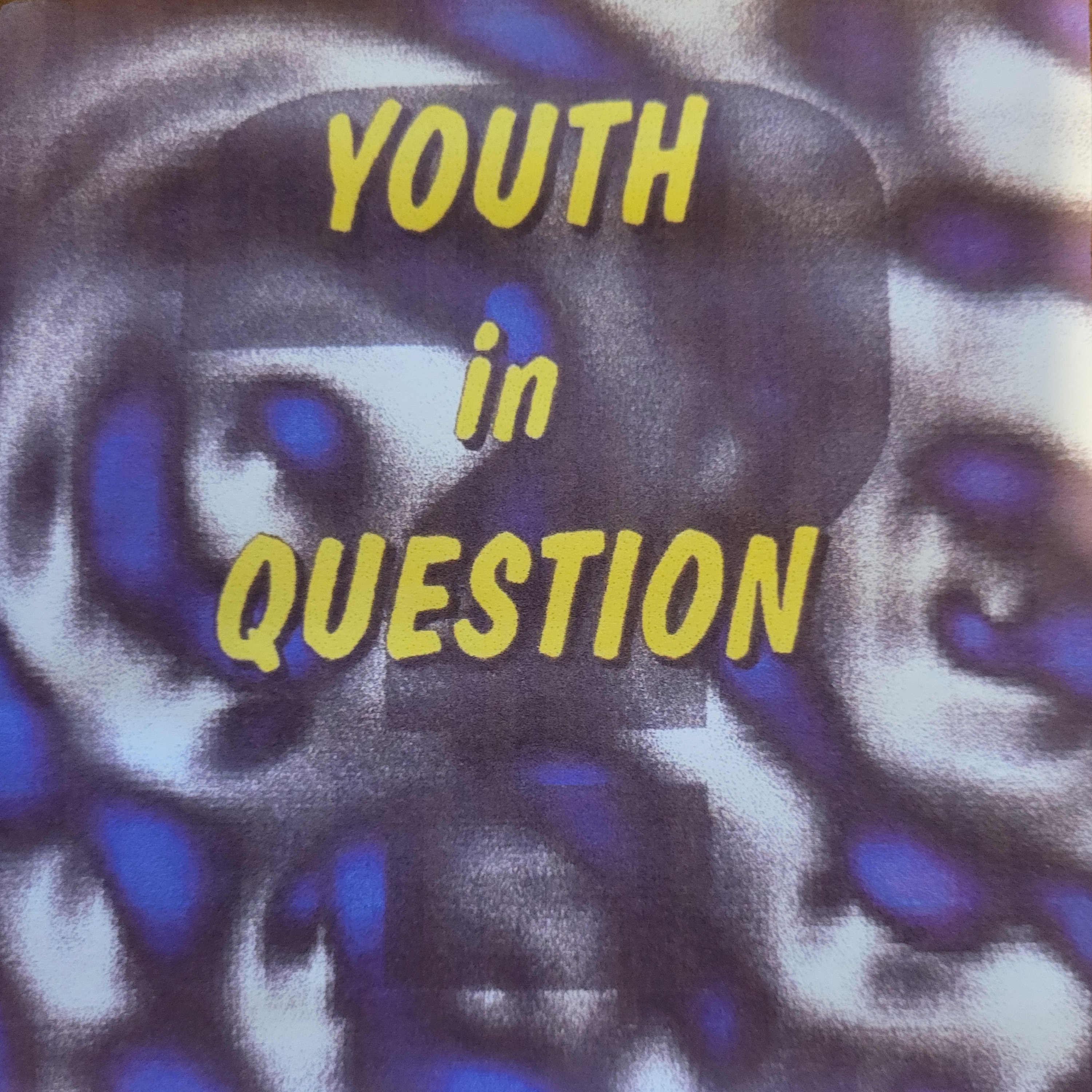 Youth in Question artwork