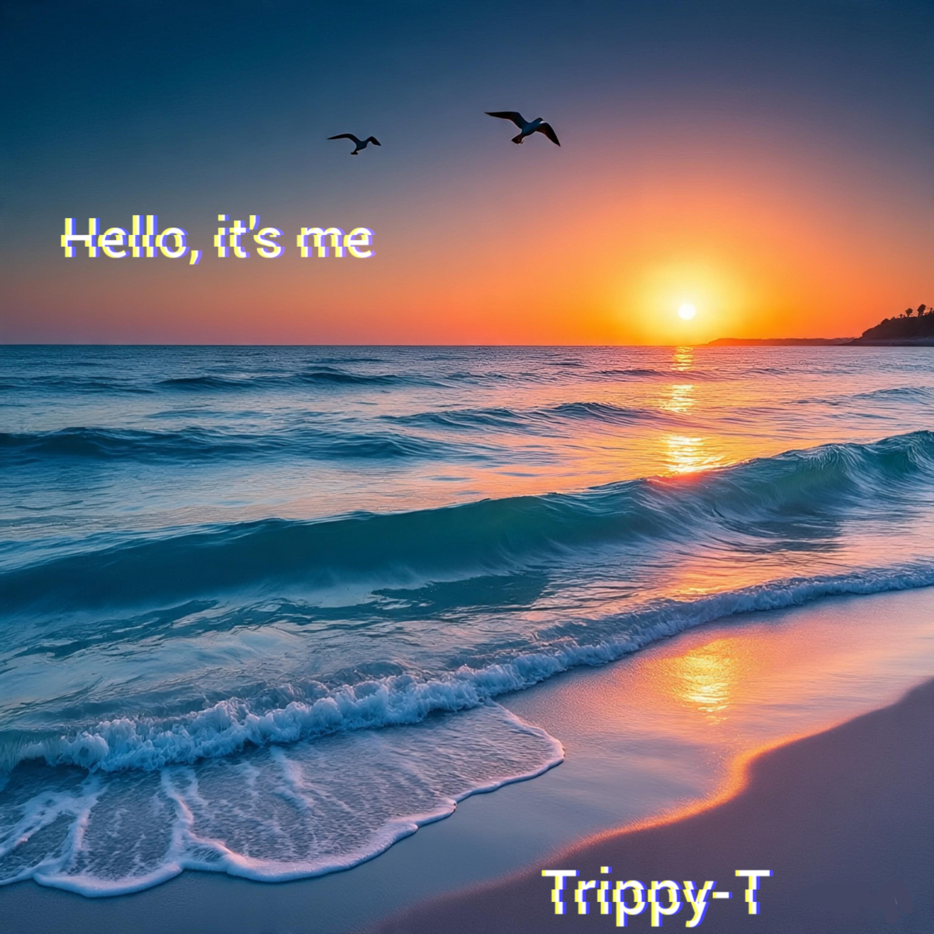 Hello, it's me artwork