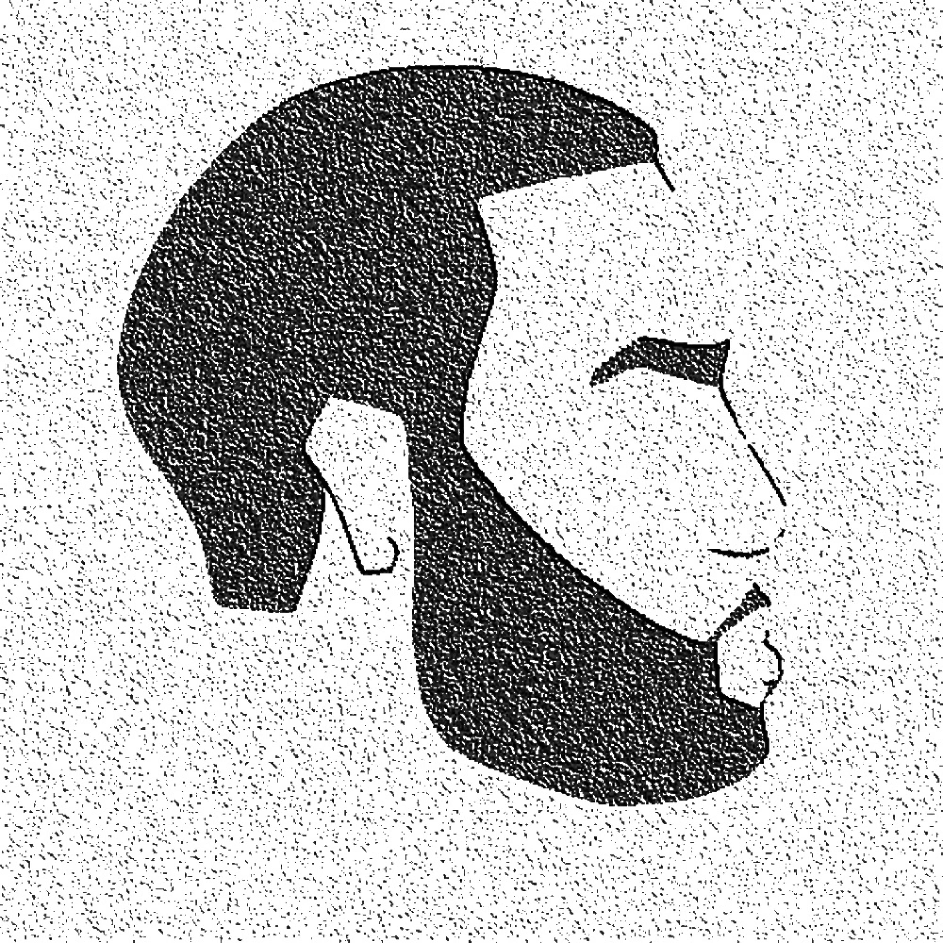 Rapper - A  MUSLIM ! by Toxic preme-Al amin/Bearded skull cover art