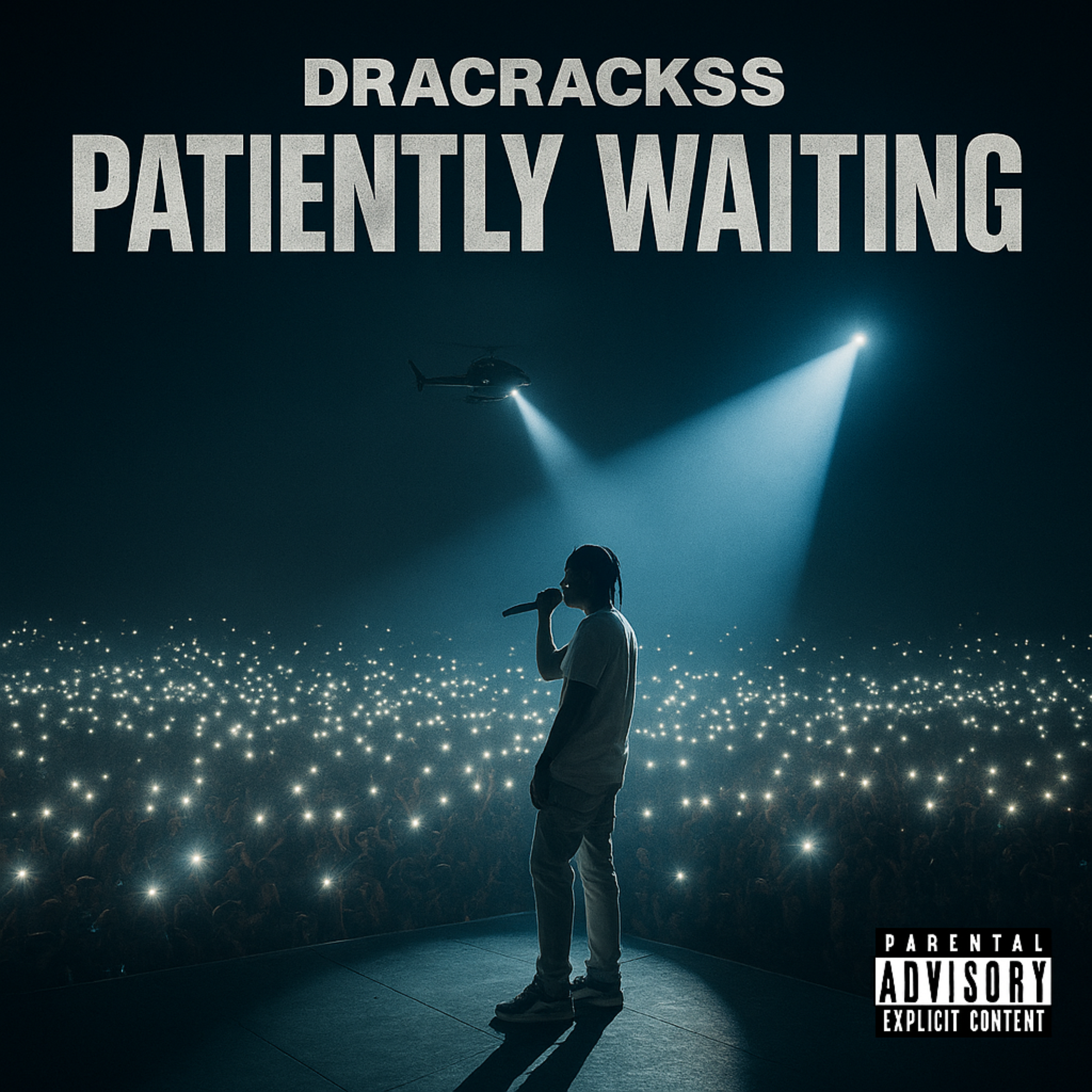 Patiently Waiting artwork