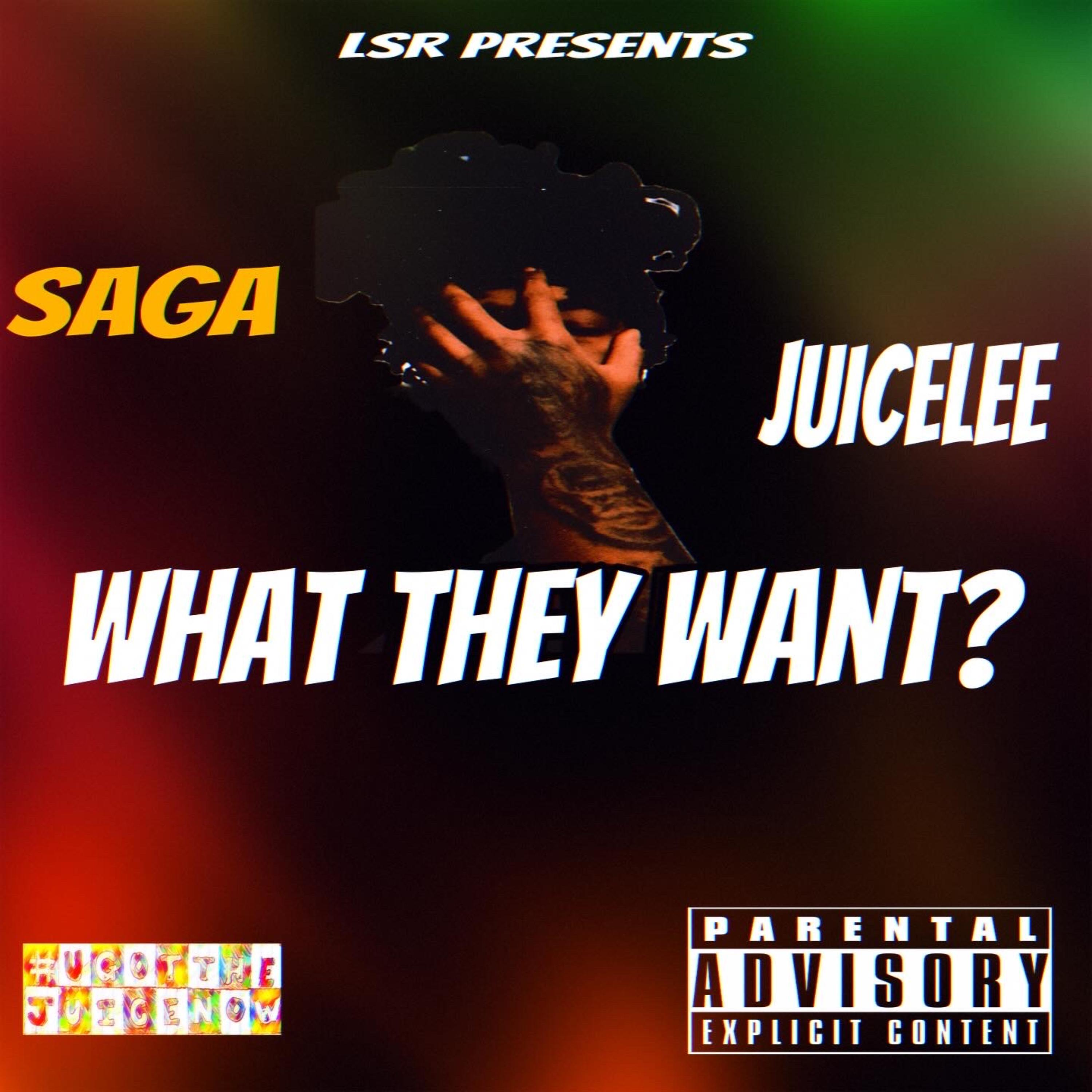 What They Want? artwork