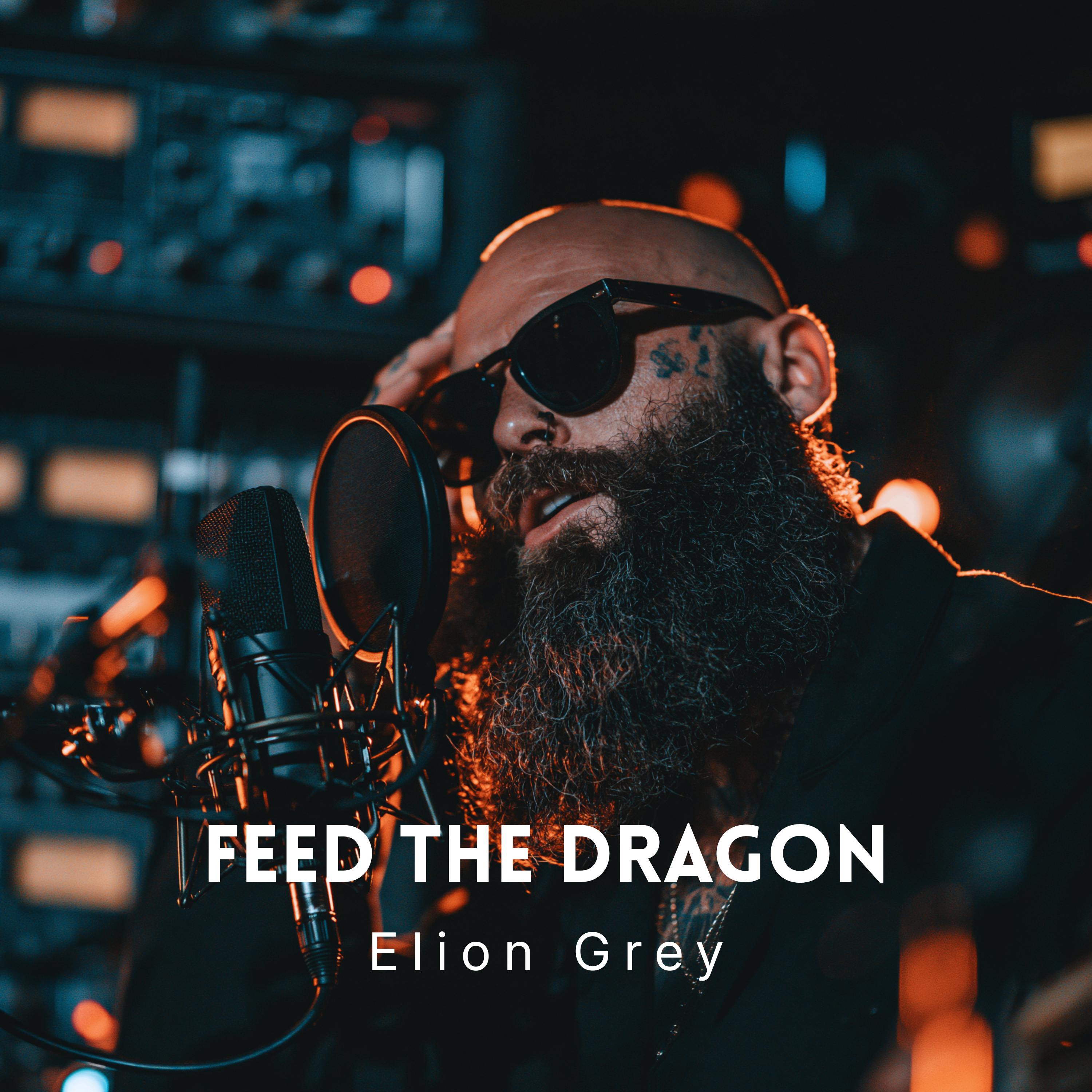 Feed the Dragon by Elion Grey cover art