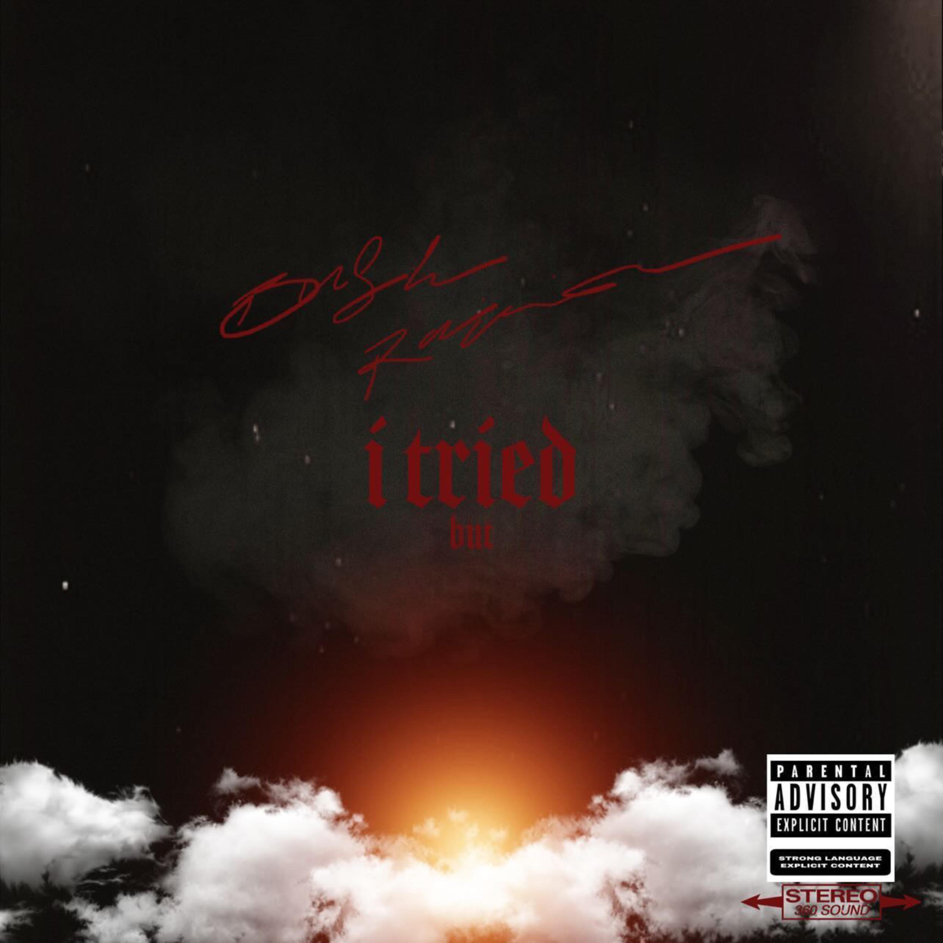 I TRIED BUT by Bush Rainier cover art