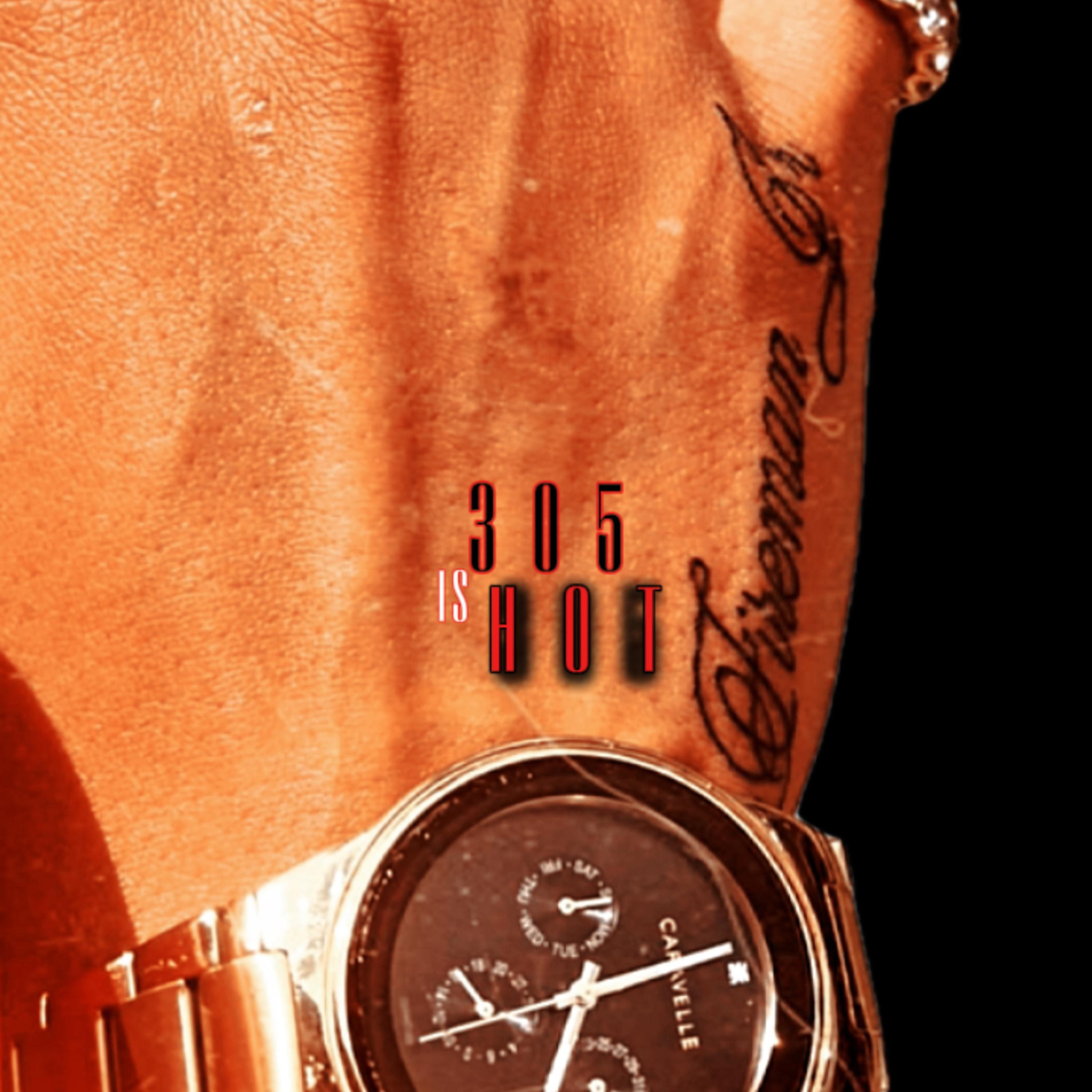 305 is HOT artwork