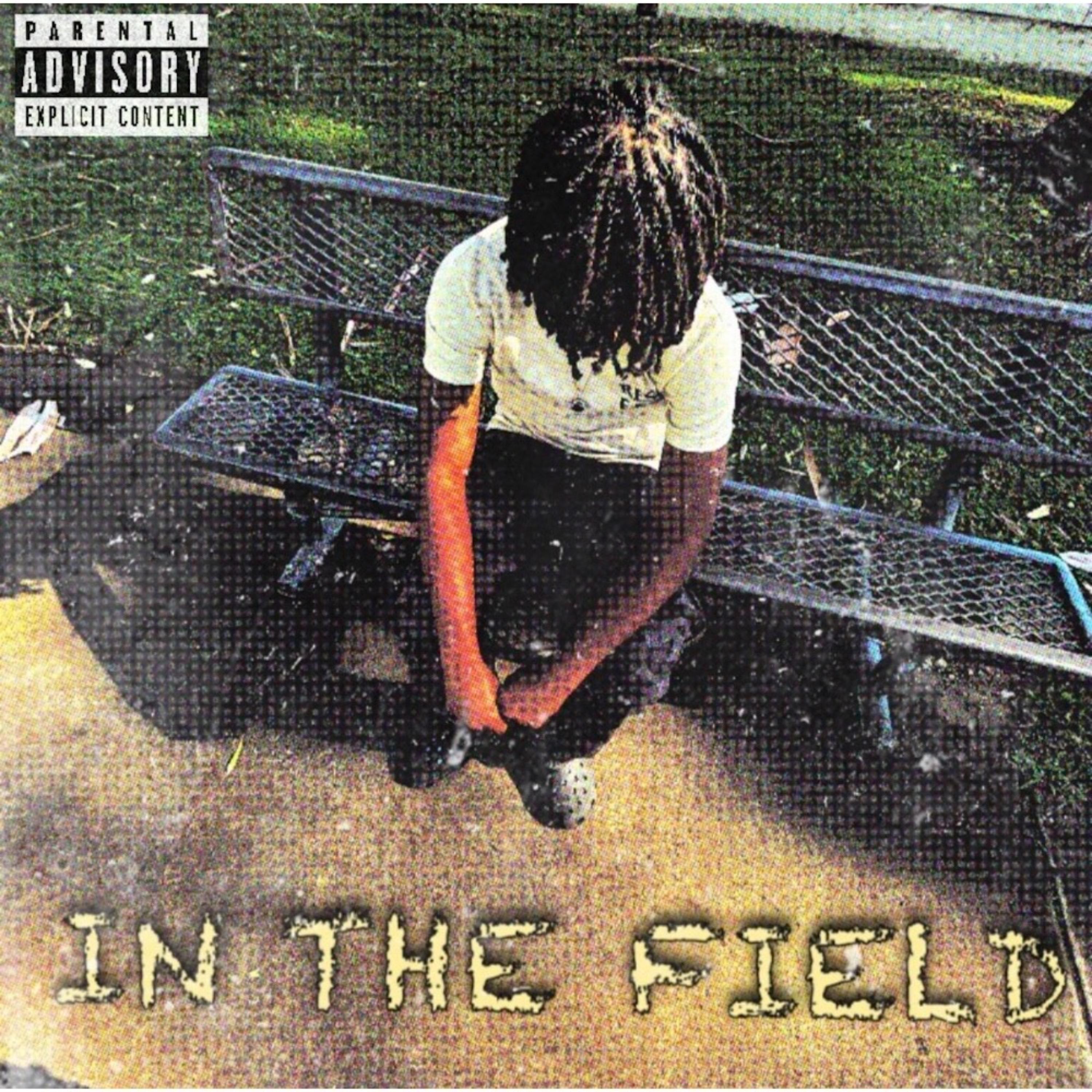 In The Field artwork
