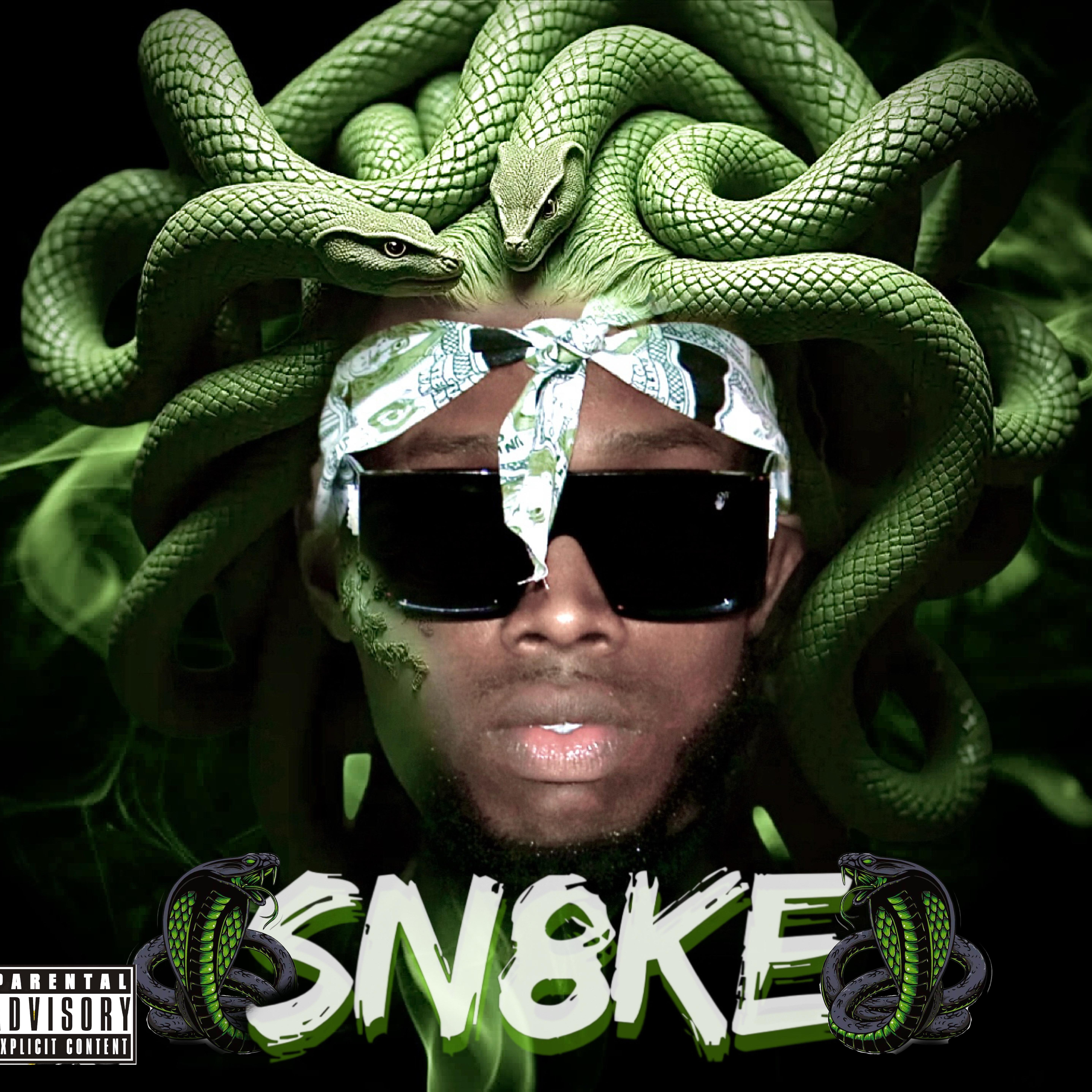SN8KE artwork