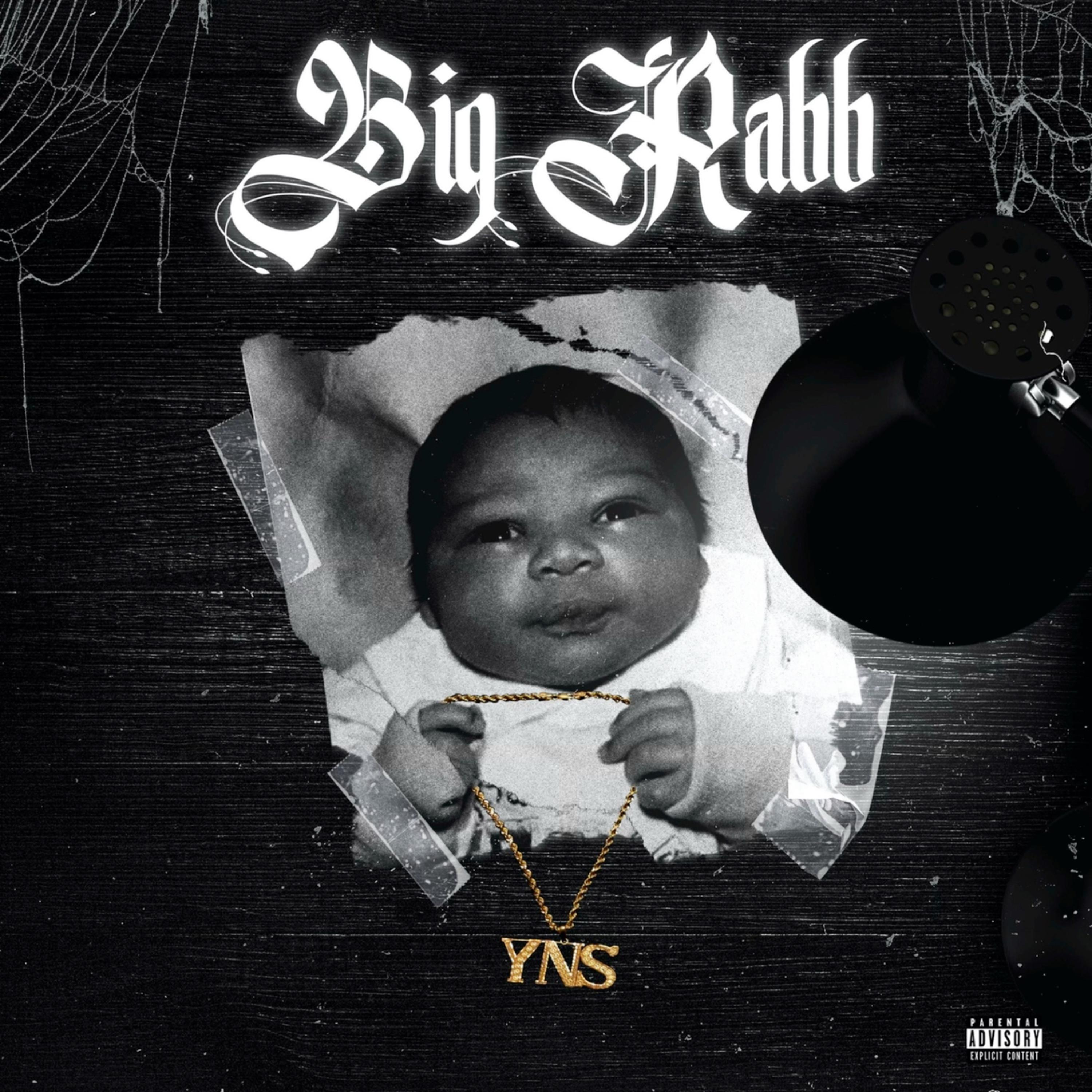 Big Rabb by YNS Rabb cover art