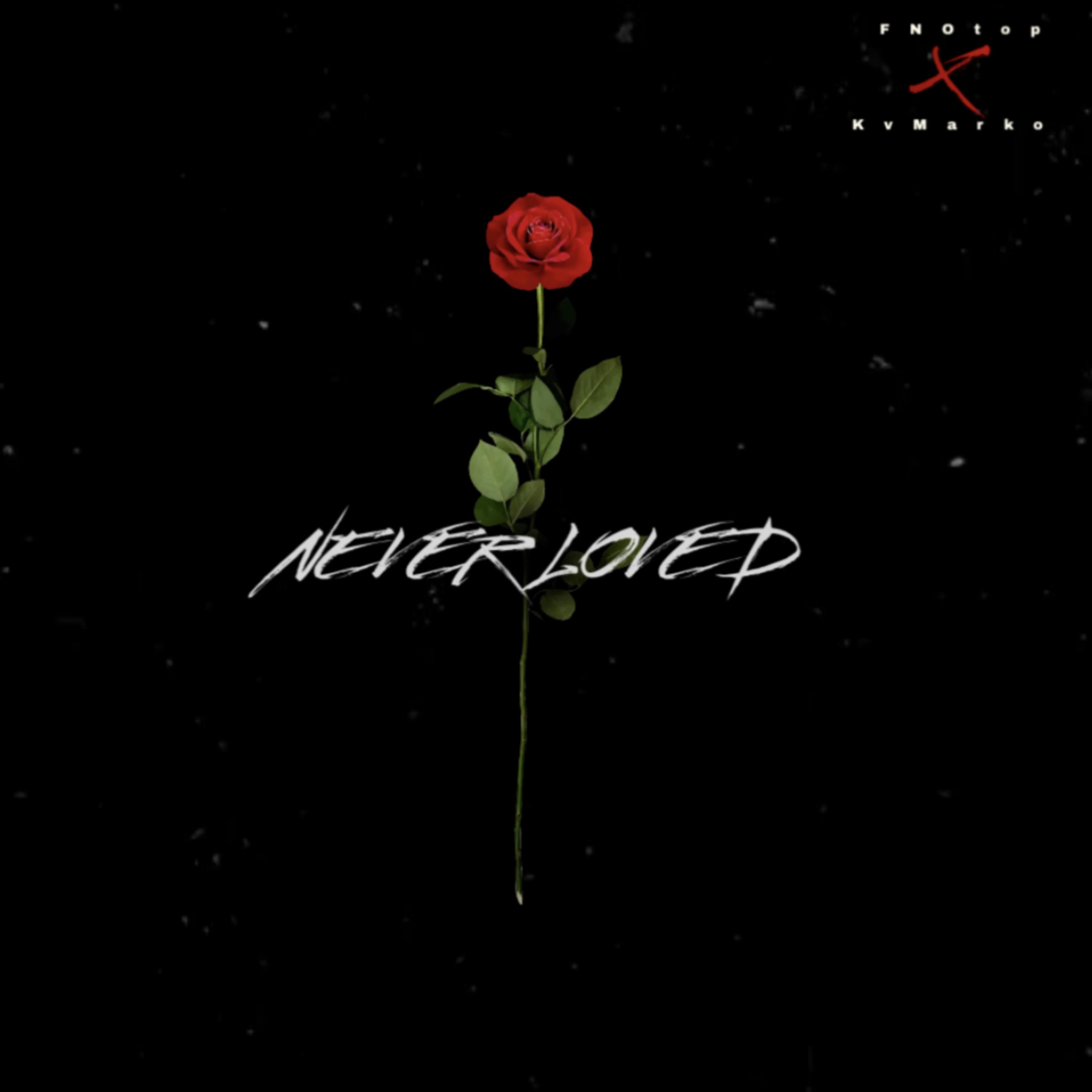 Never Loved artwork
