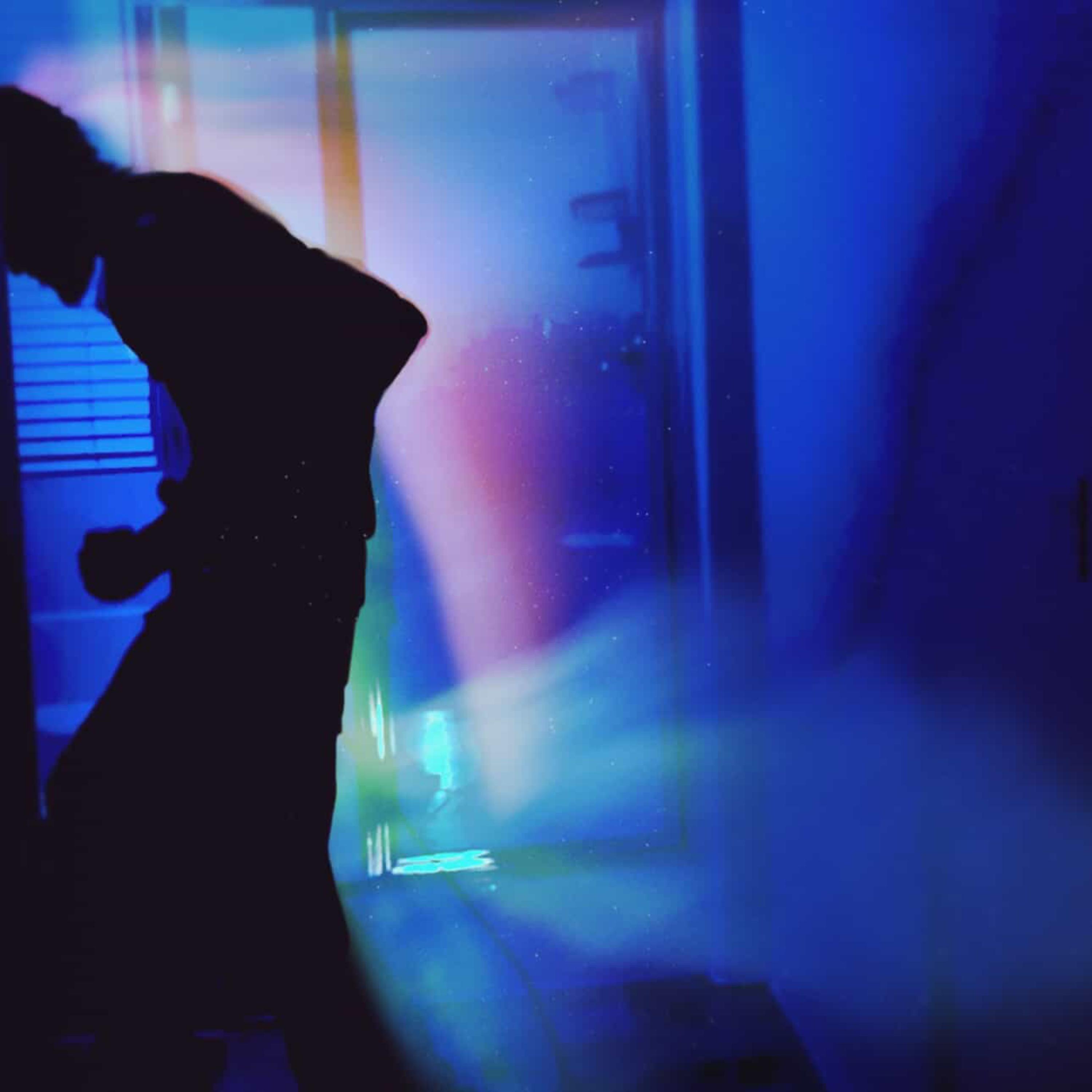 I JUST WANNA SEE YA SHAWDY artwork