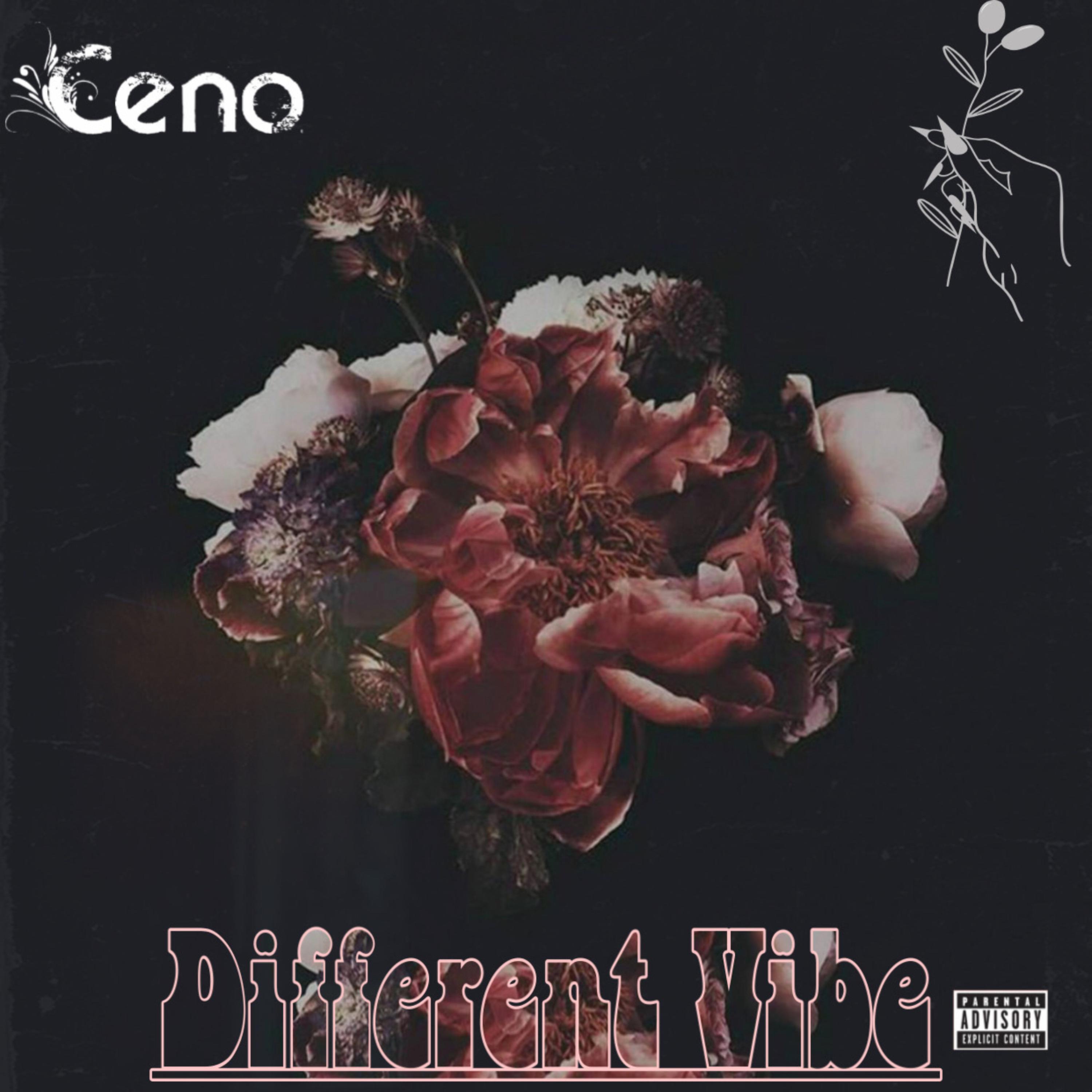 Different Vibe artwork