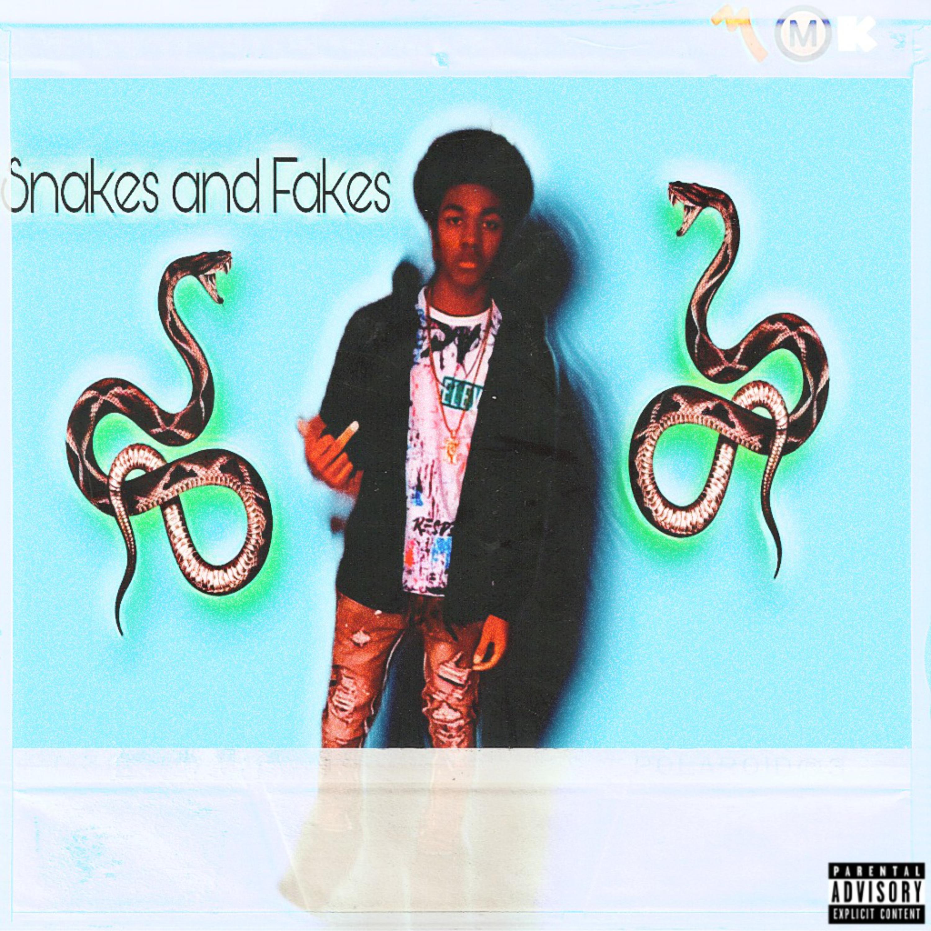 Snakes And Fakes artwork