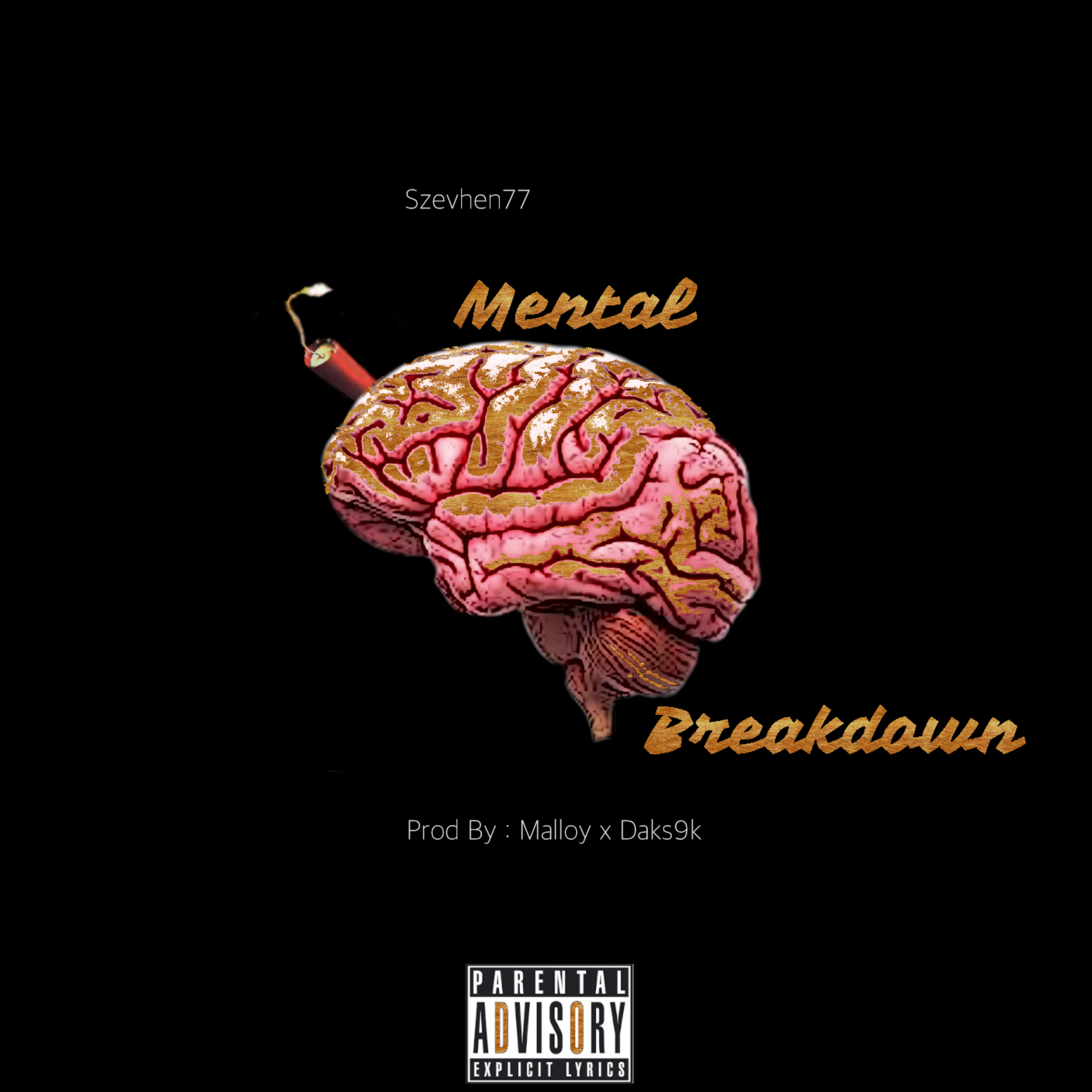 mEnTaL BrEaKdOwN artwork