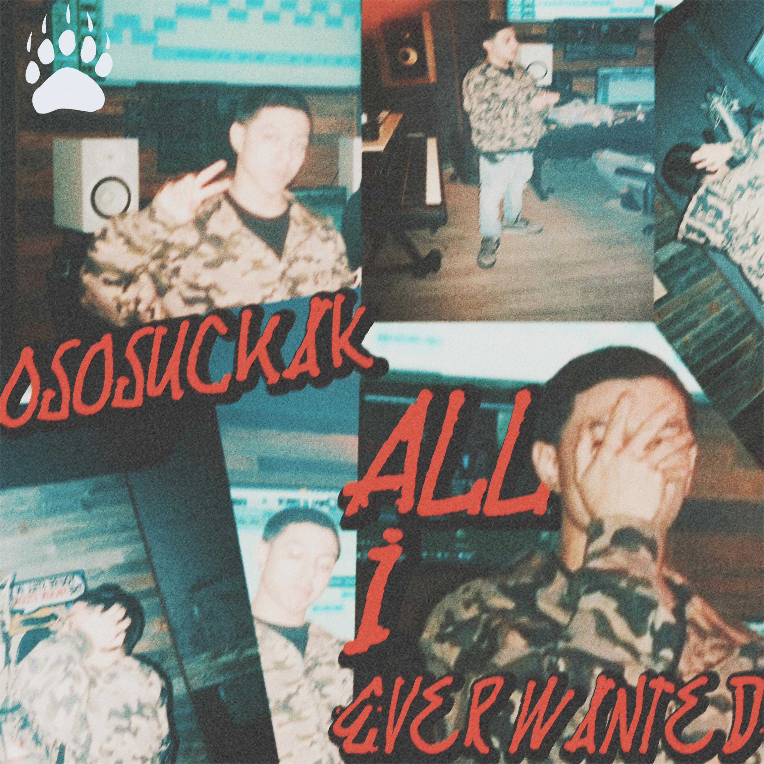 All I Ever Wanted artwork