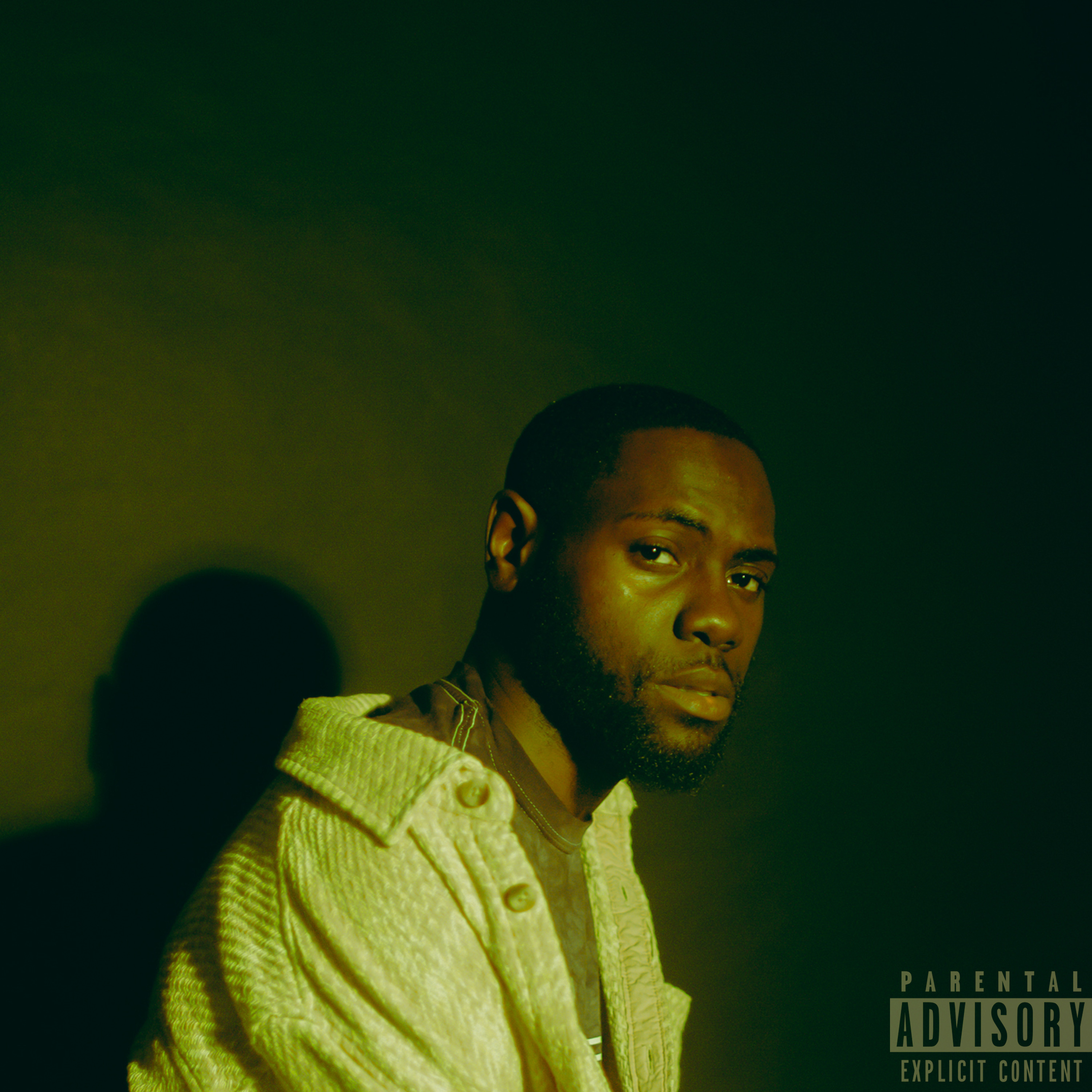 I'LL TELL YOU LATER artwork