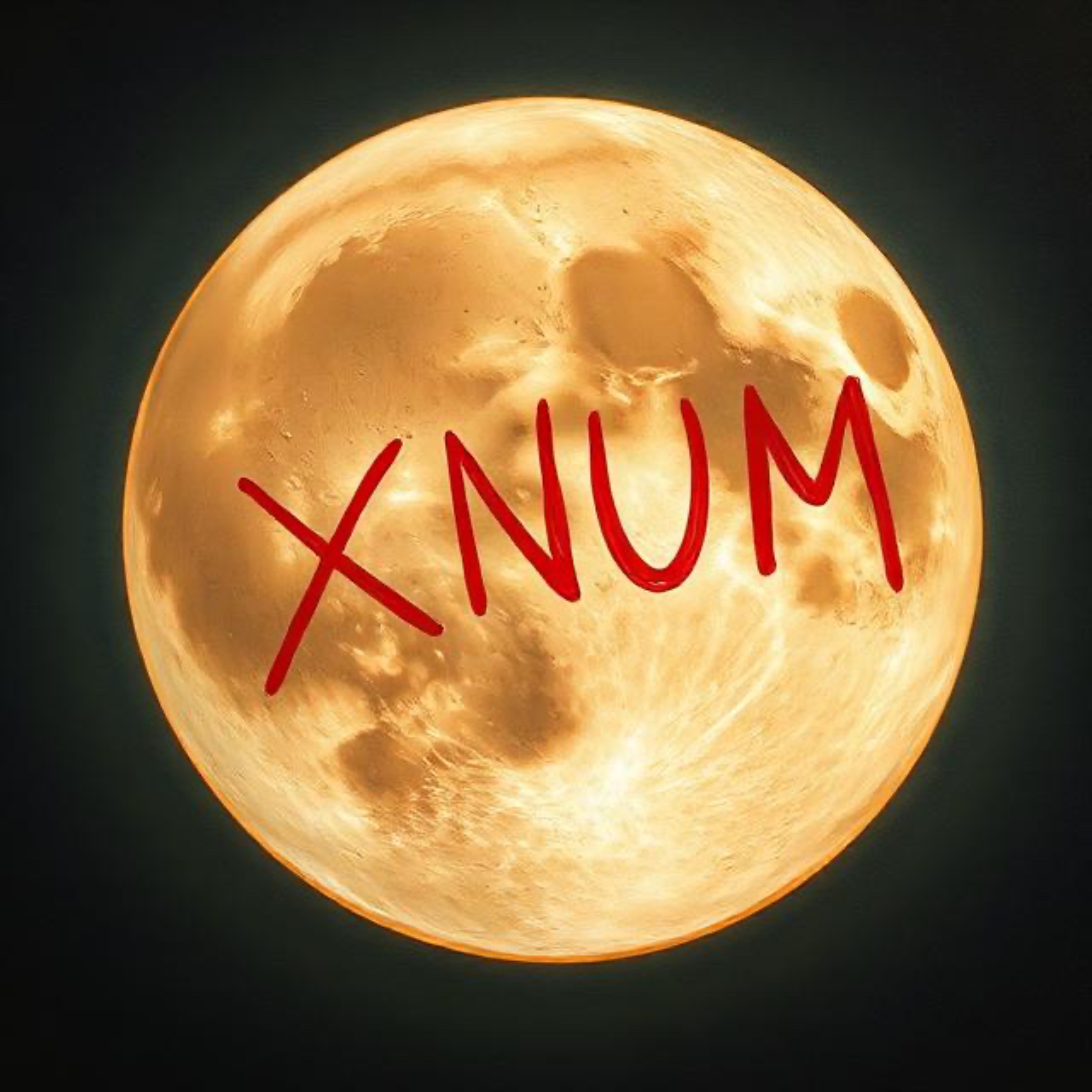 Fun Night artwork