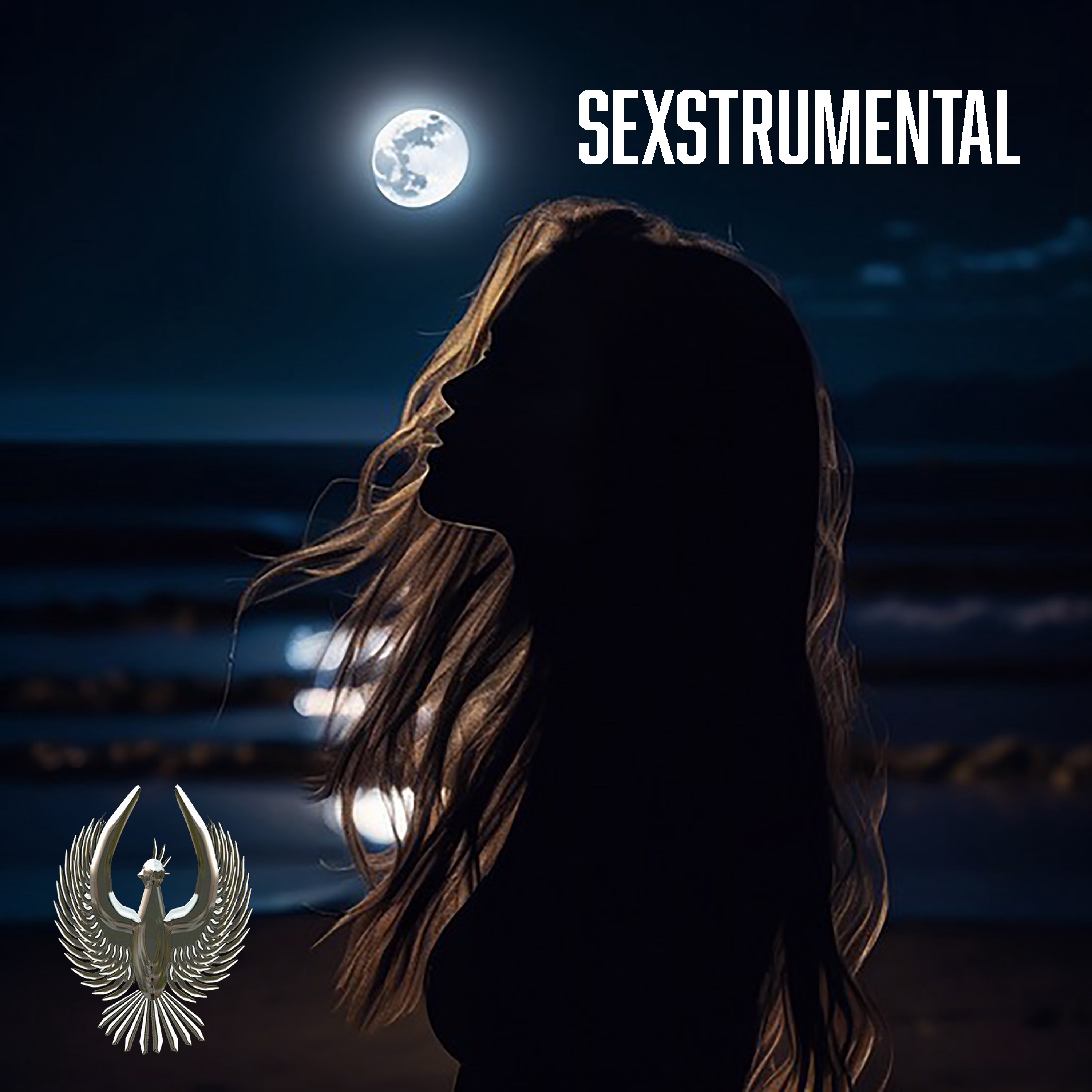 SEXSTRUMENTAL artwork