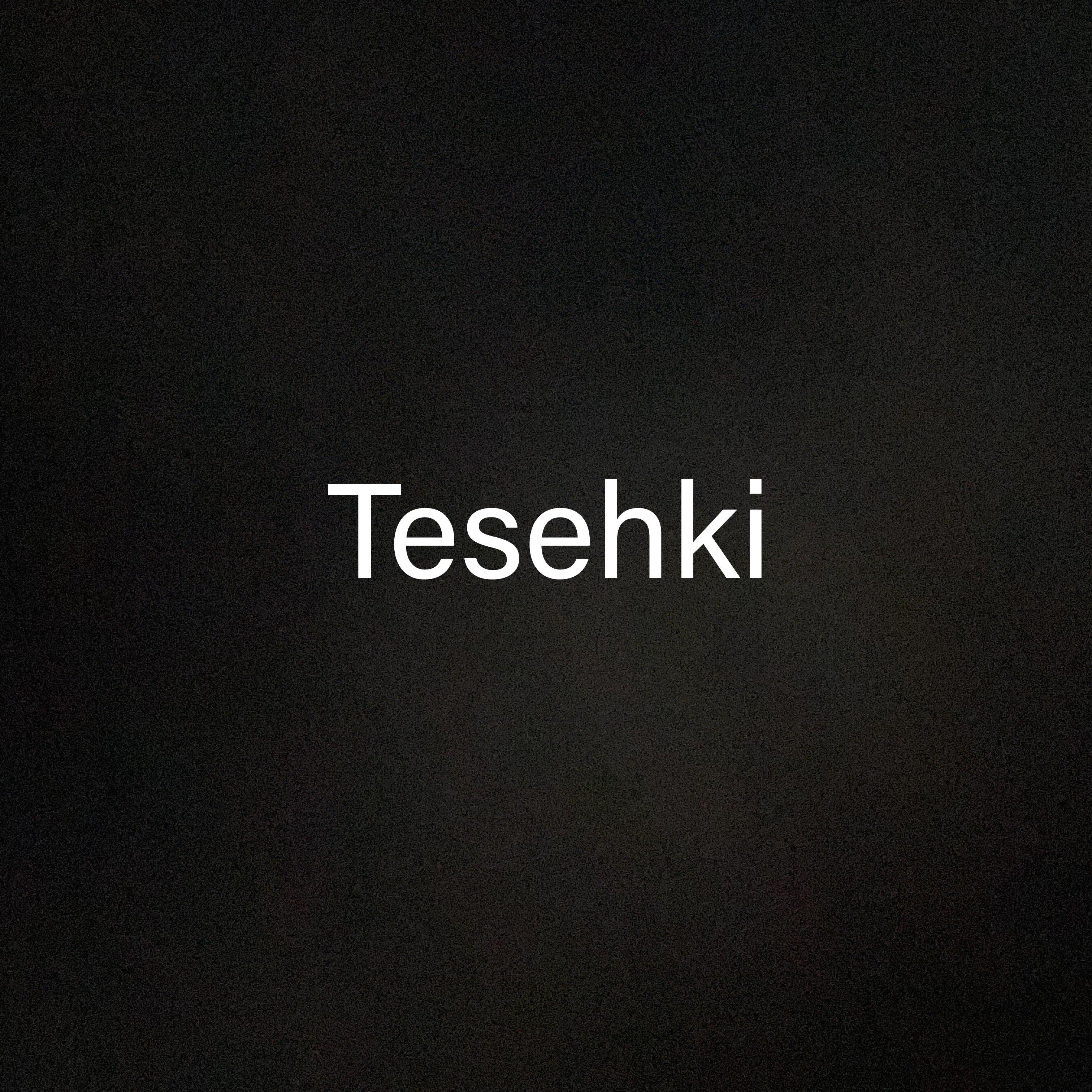 Tesehki by Flashe Jordan cover art