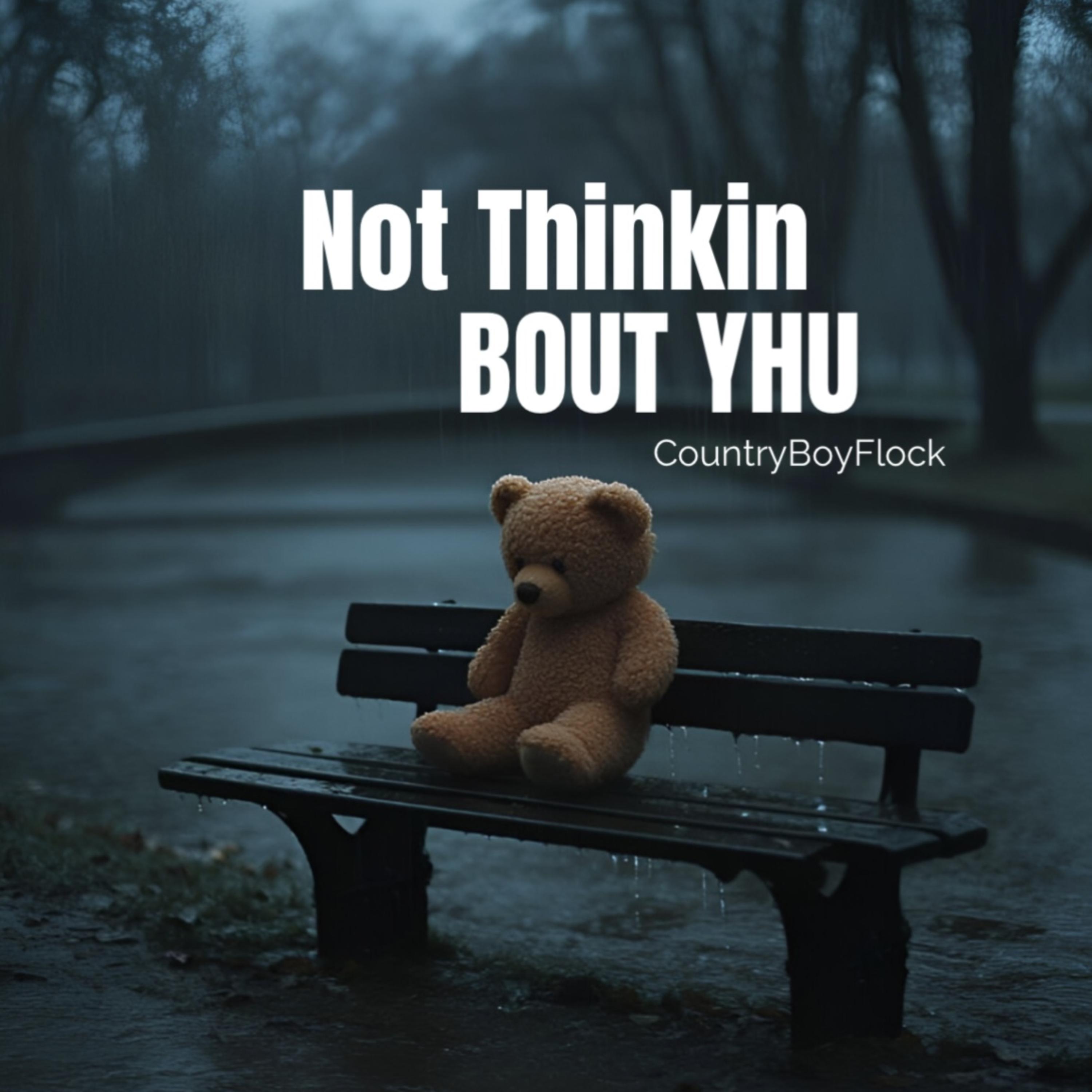 Not Thinkin Bout Yhu artwork