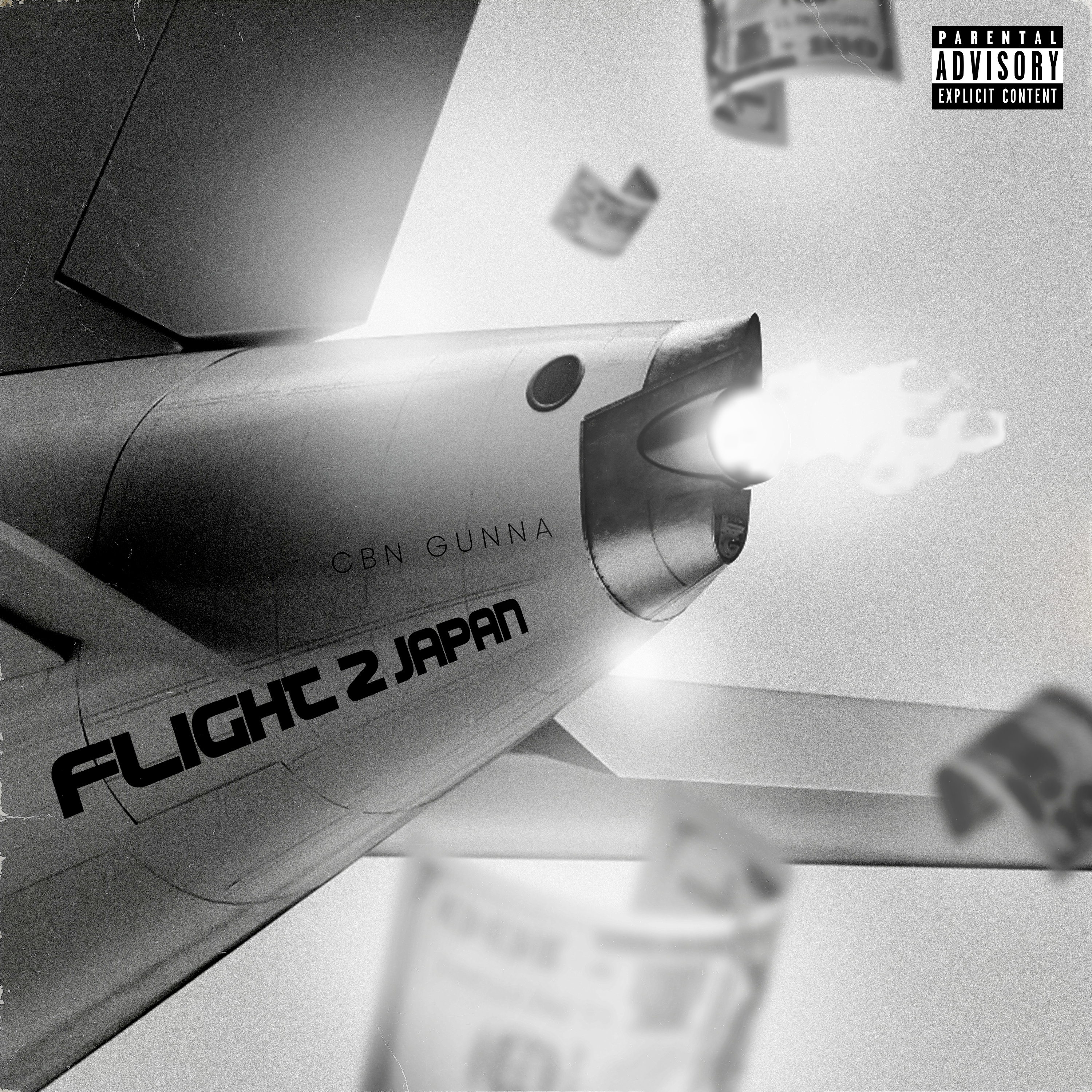 Flight 2 Japan artwork