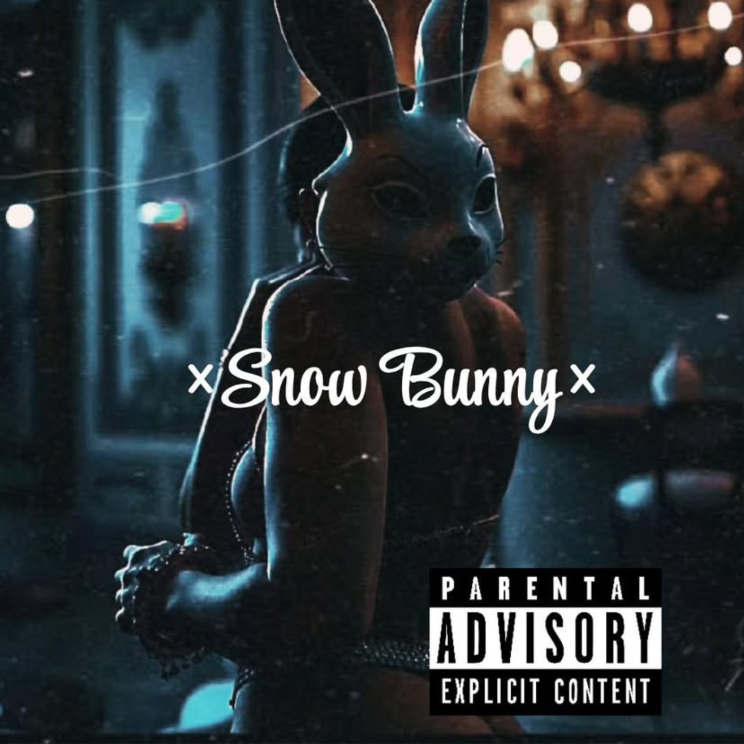 Snow Bunny artwork