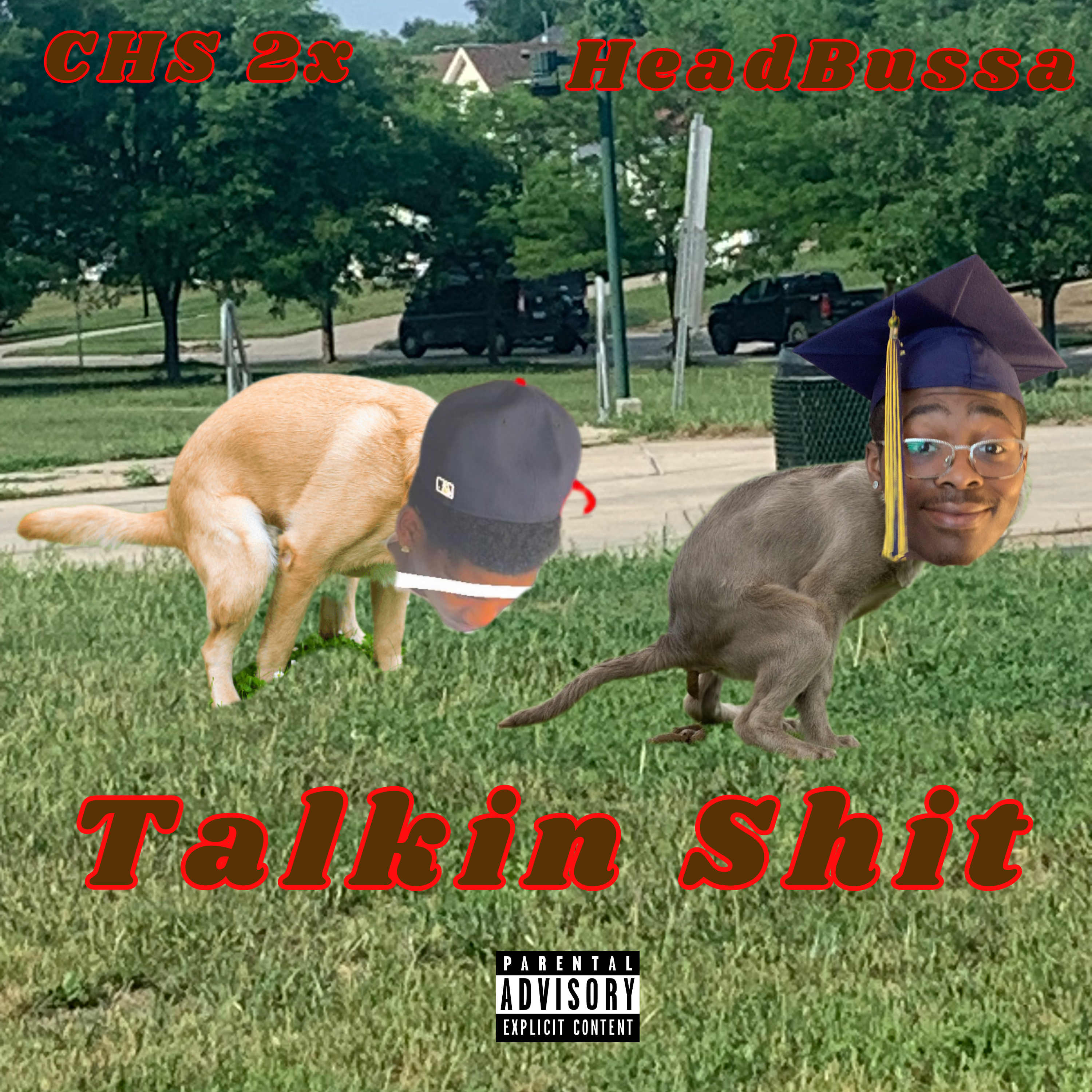 Talkin Shit artwork