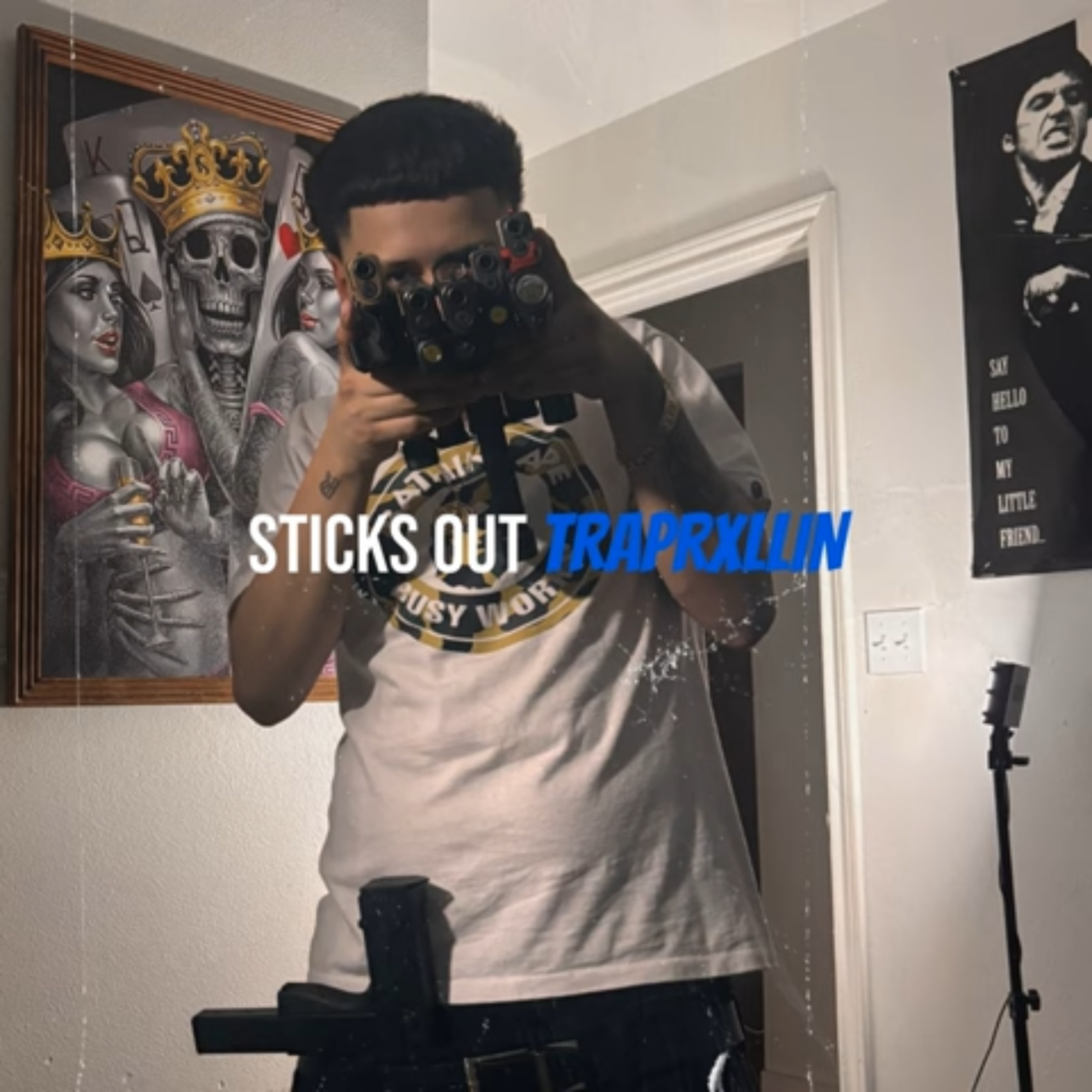 Sticks Out artwork