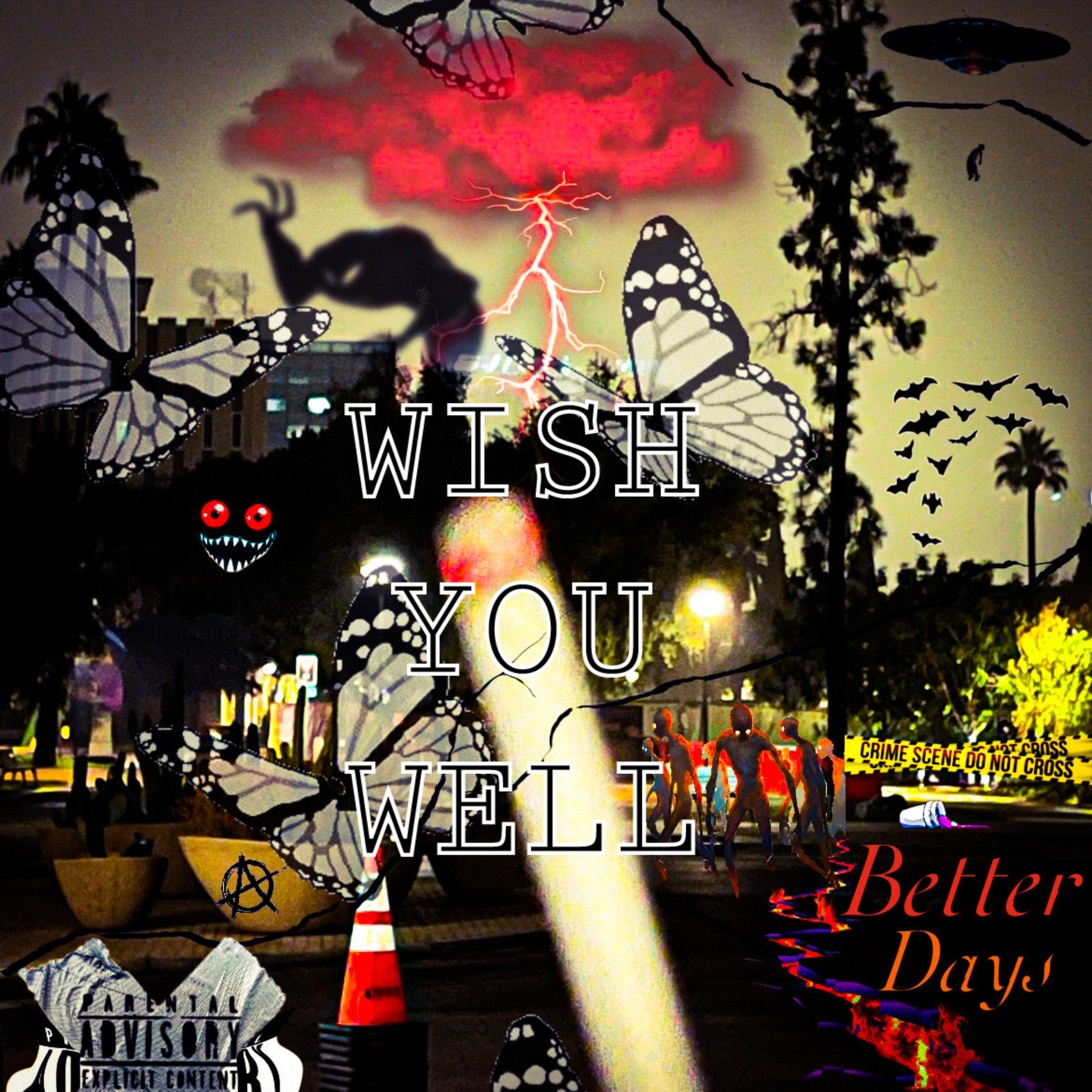Wish You Well artwork