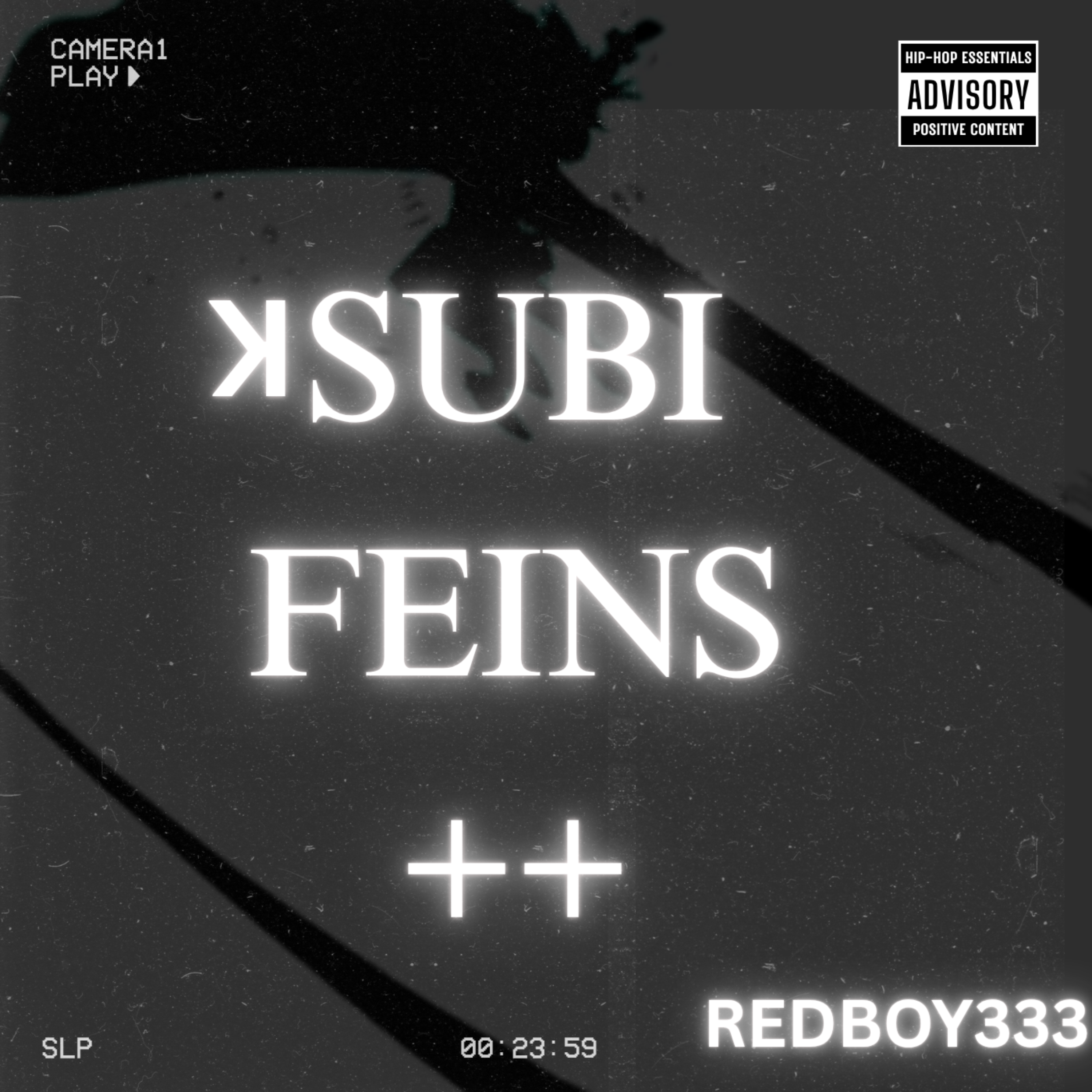 SUBI Feins artwork