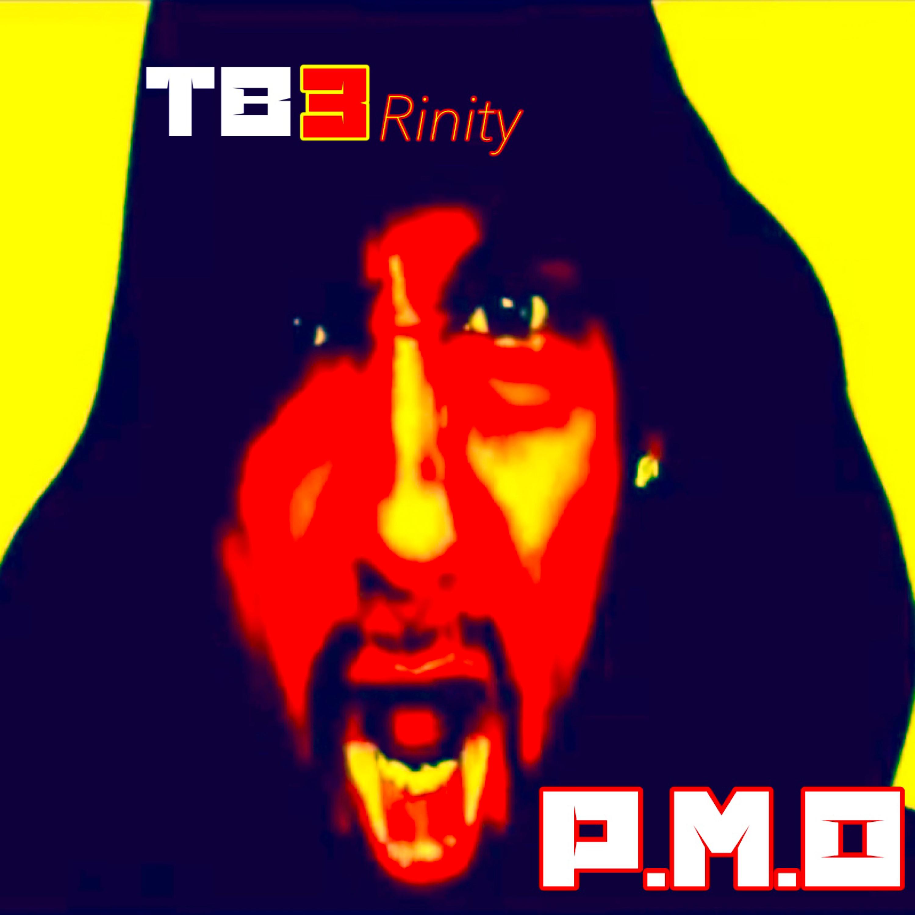 TB3 (P.M.O) artwork