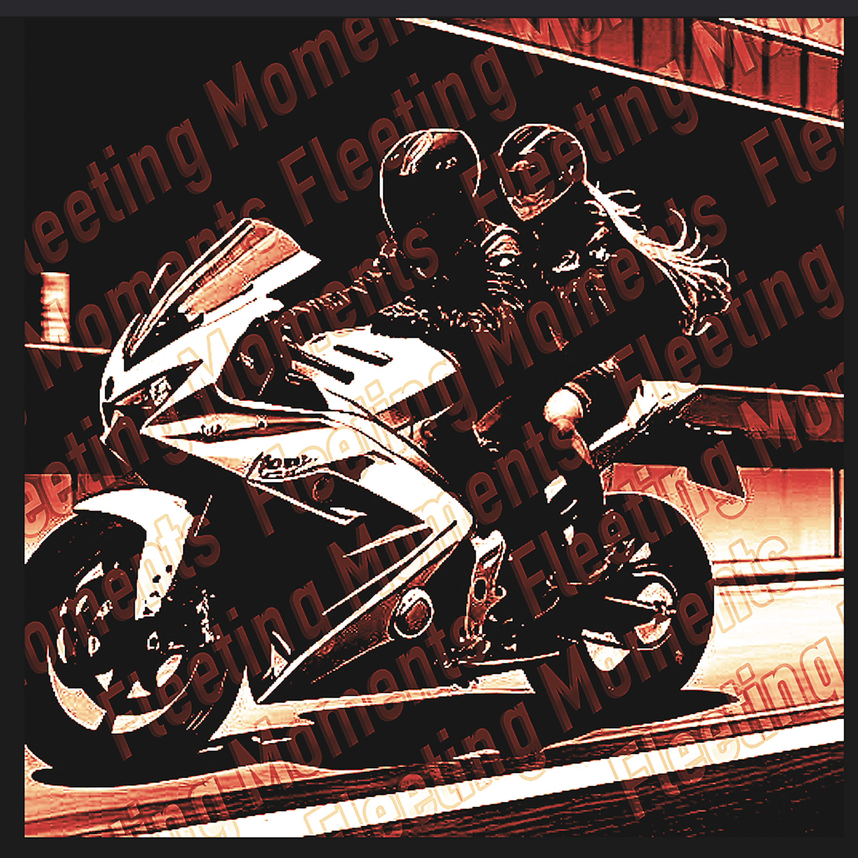 Fleeting Moments artwork