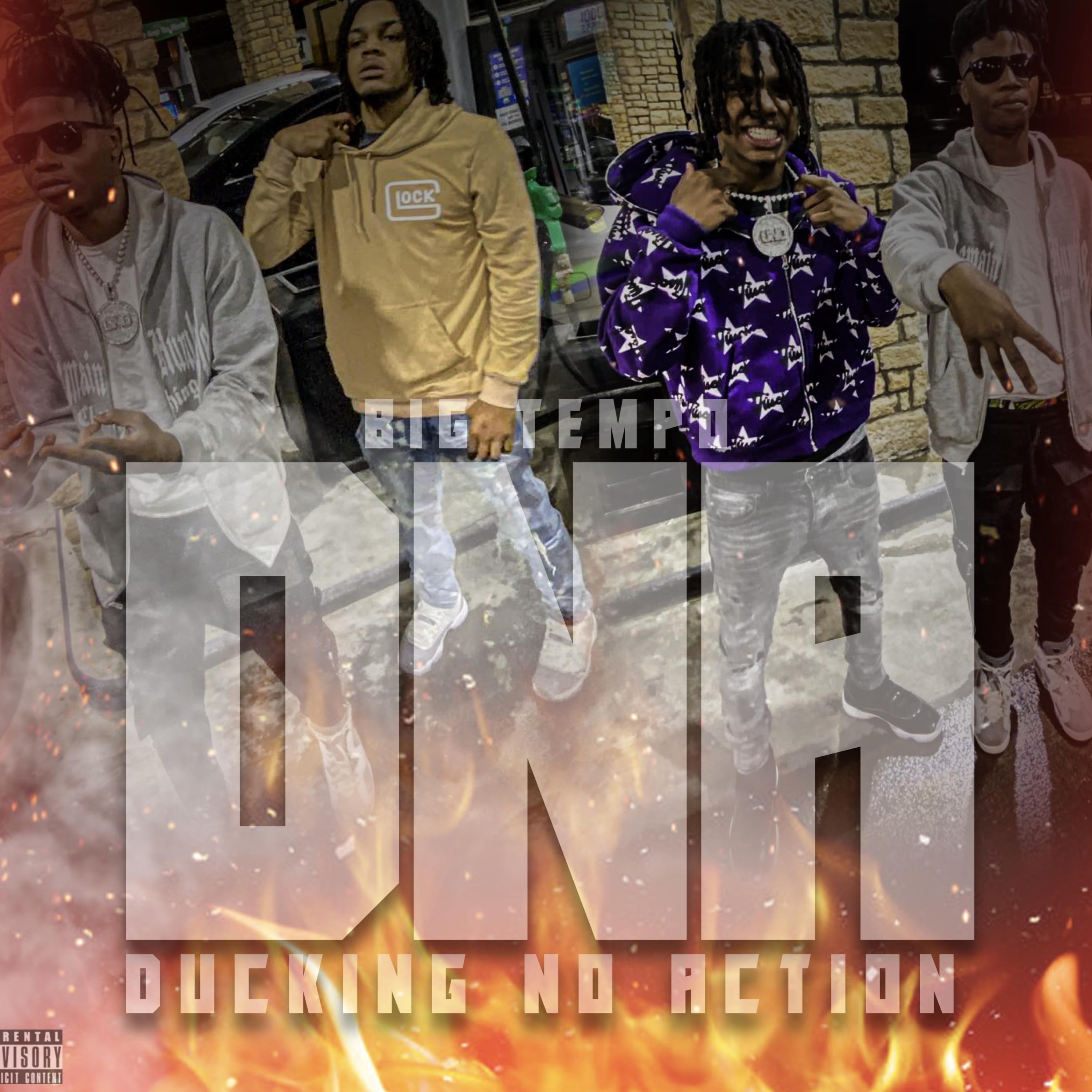 Ducking No Action artwork
