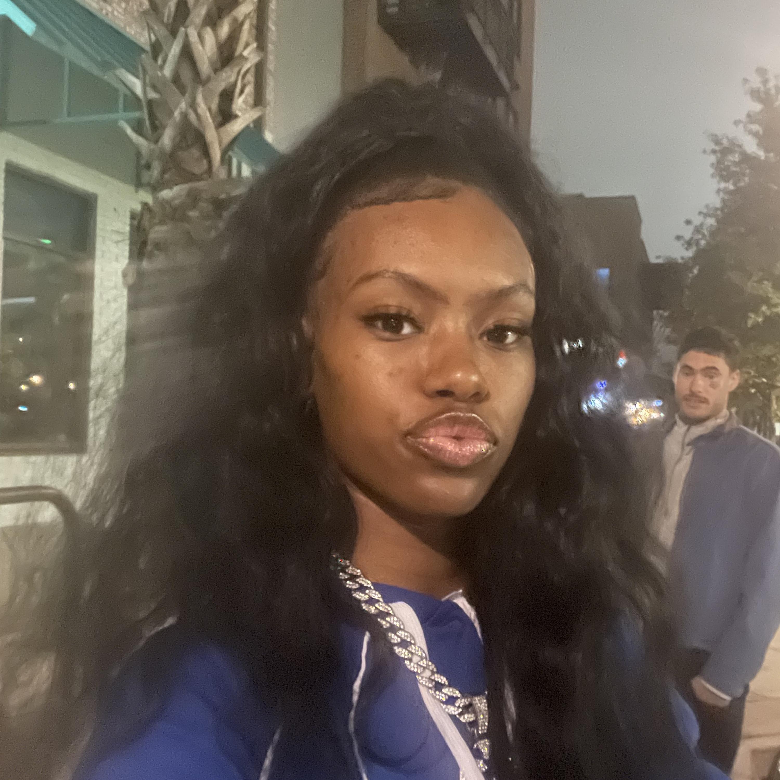 FL SUNSHINE STATE artwork