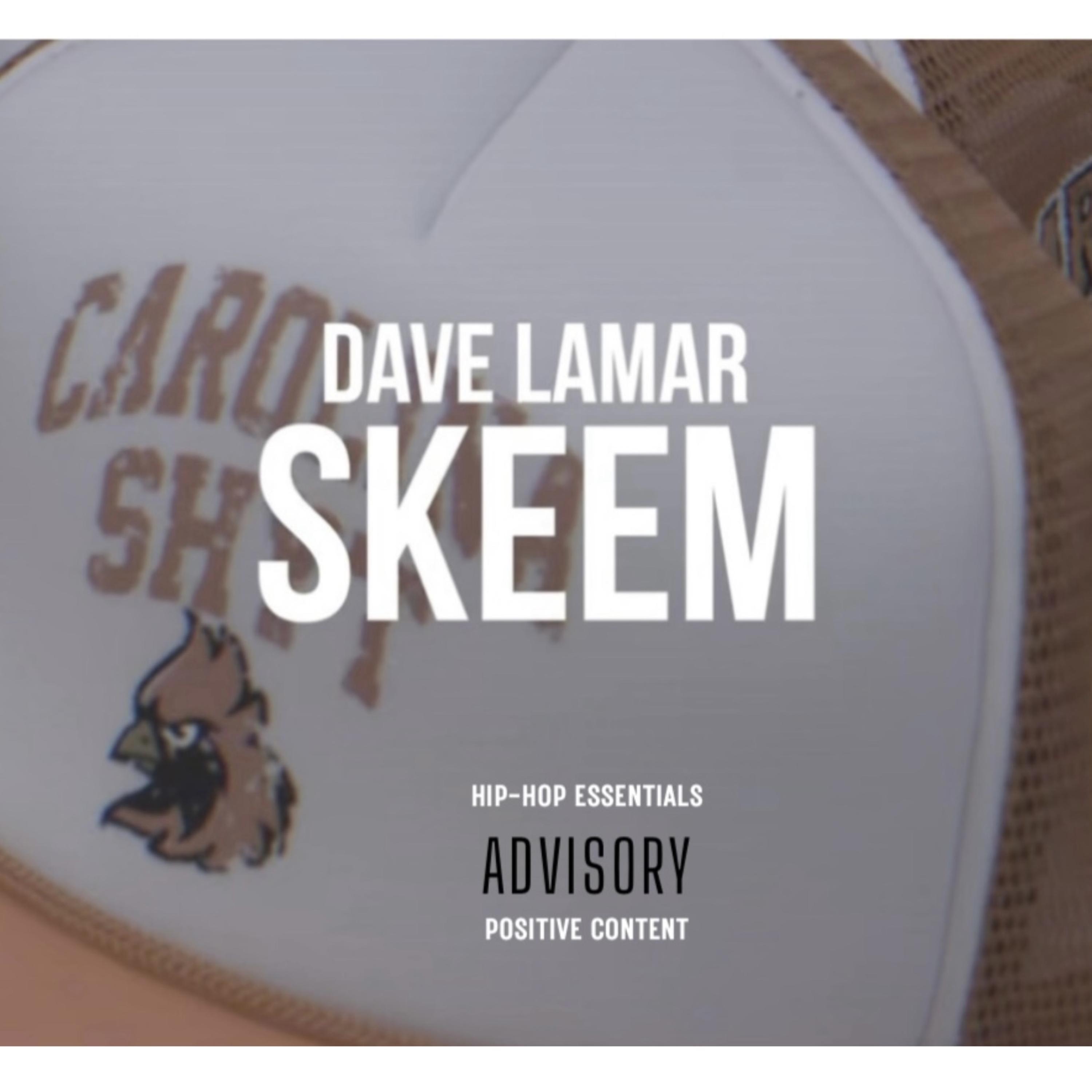 Skeem artwork