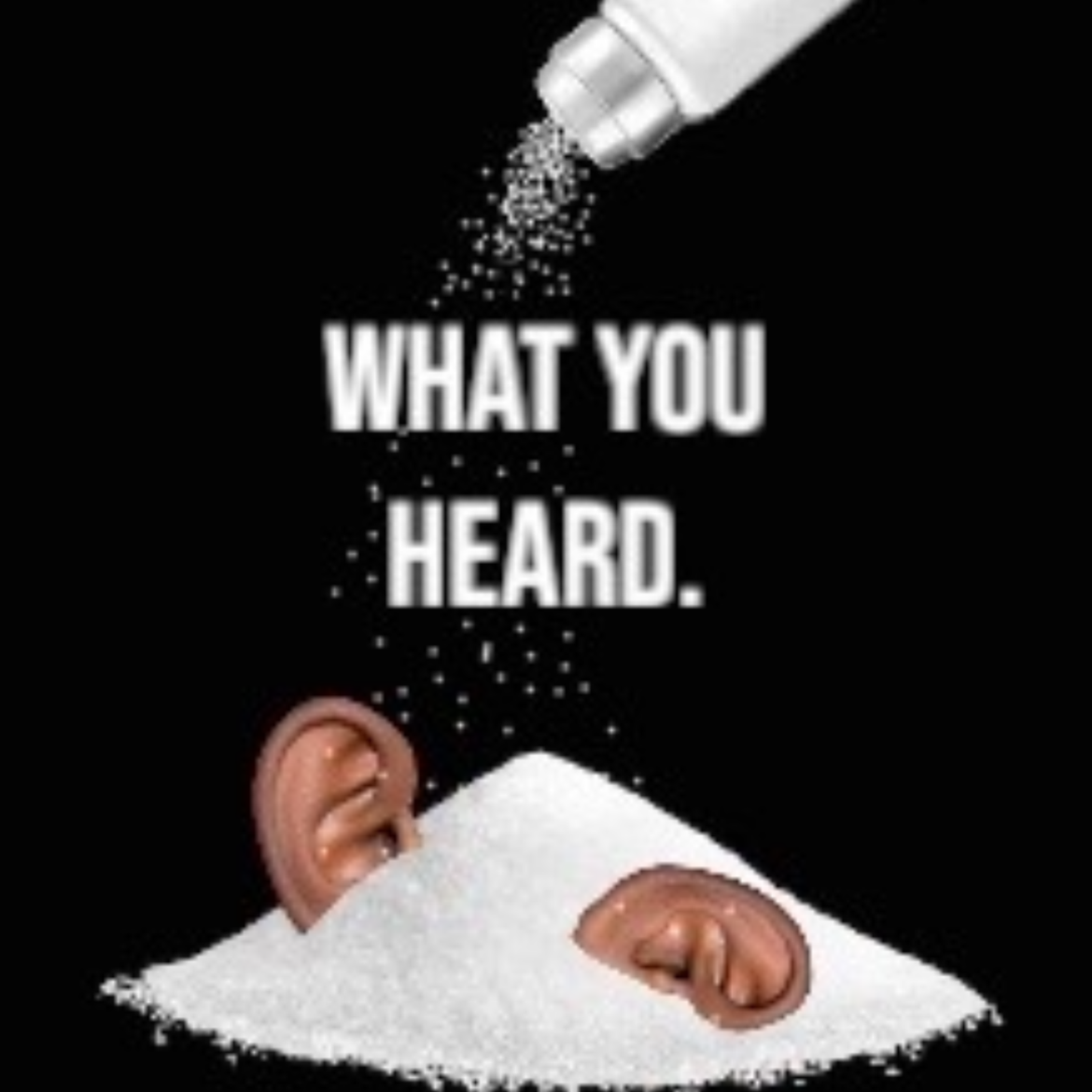 What You Heard artwork
