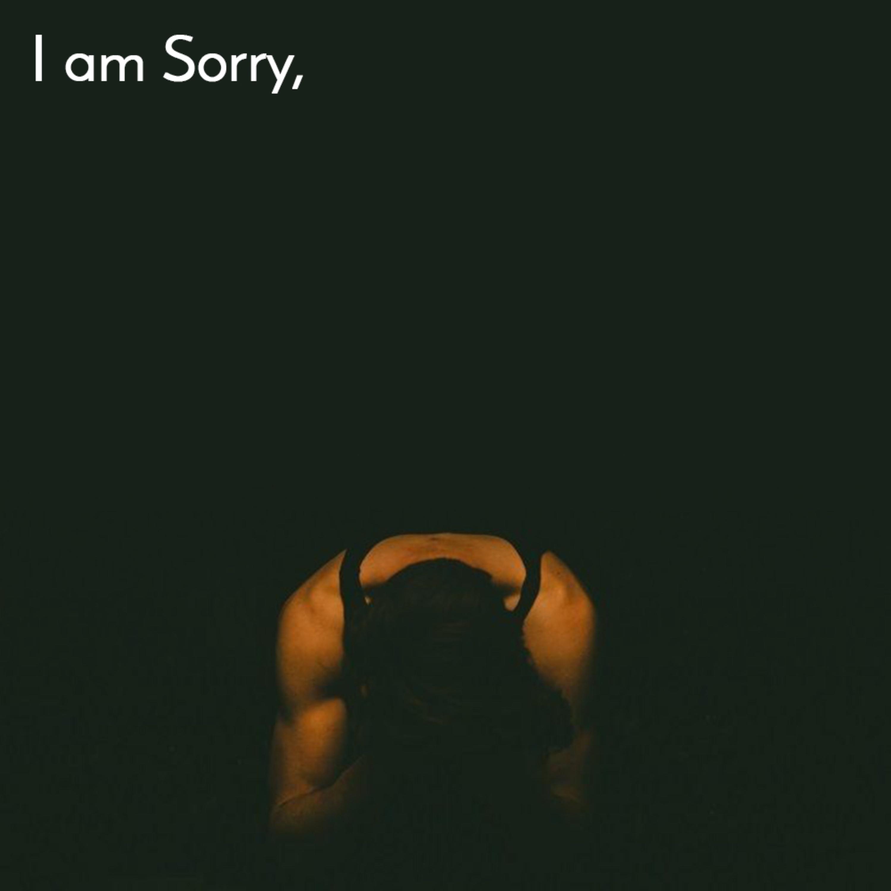 I'm Sorry artwork