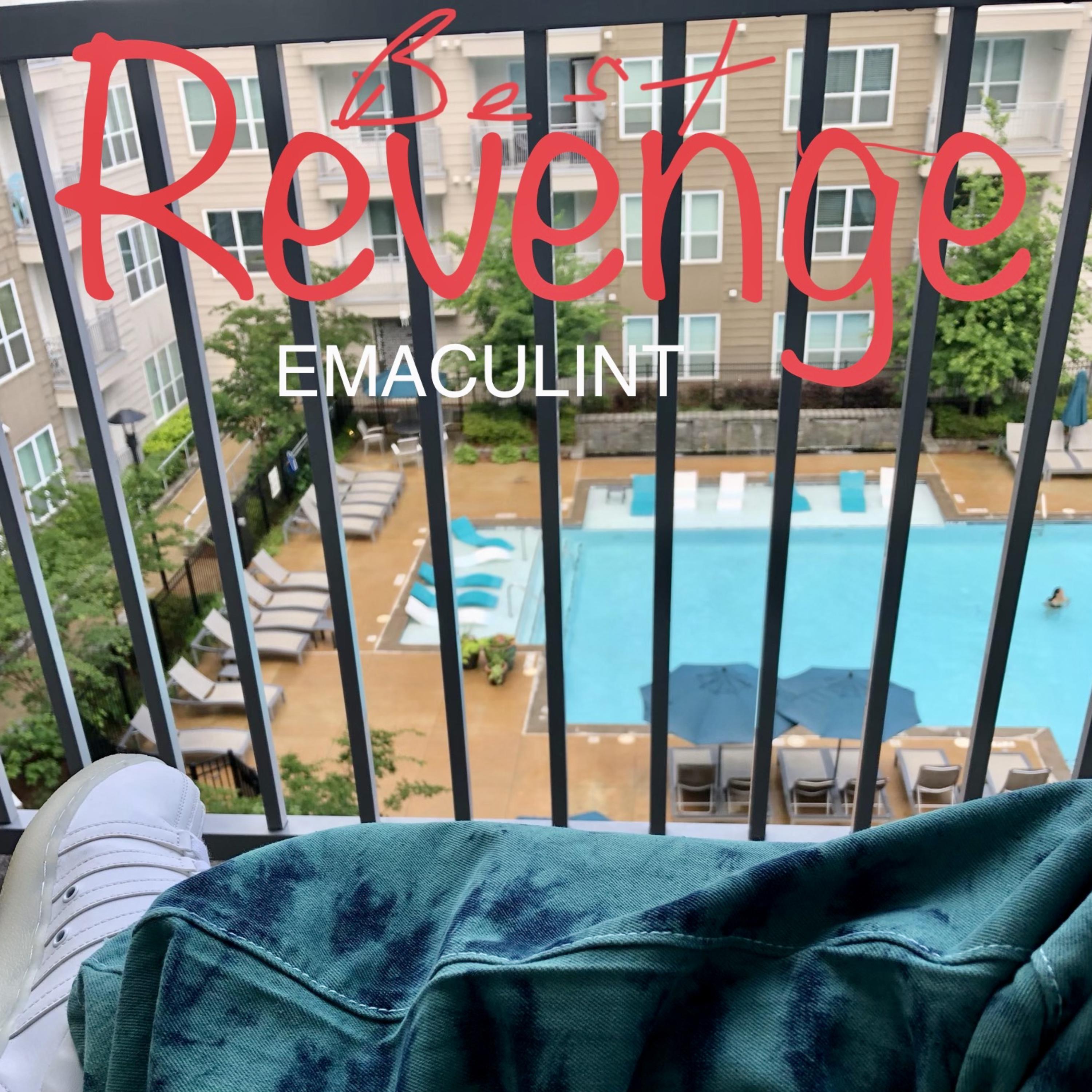 Best Revenge artwork