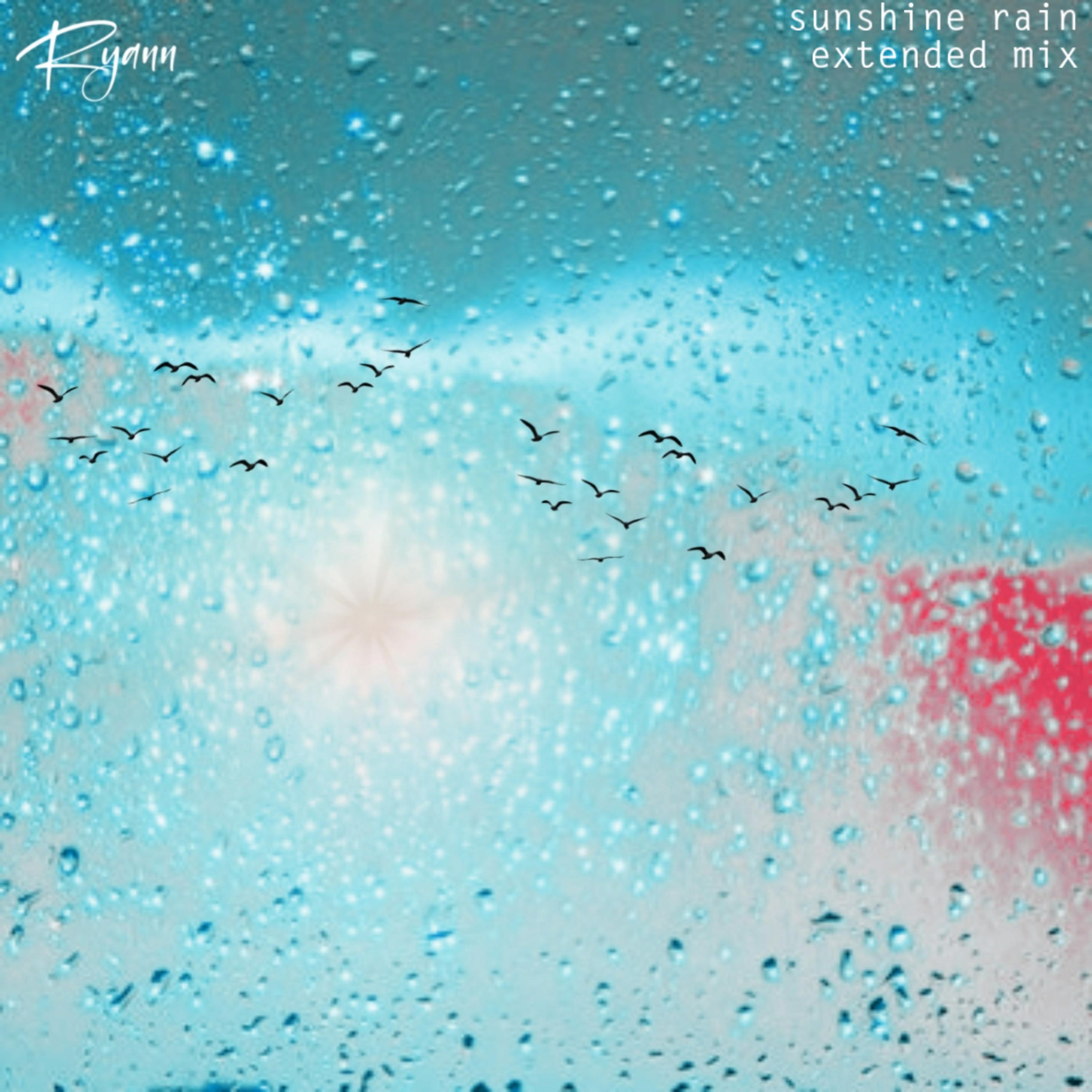 Sunshine Rain (Extended Mix) artwork
