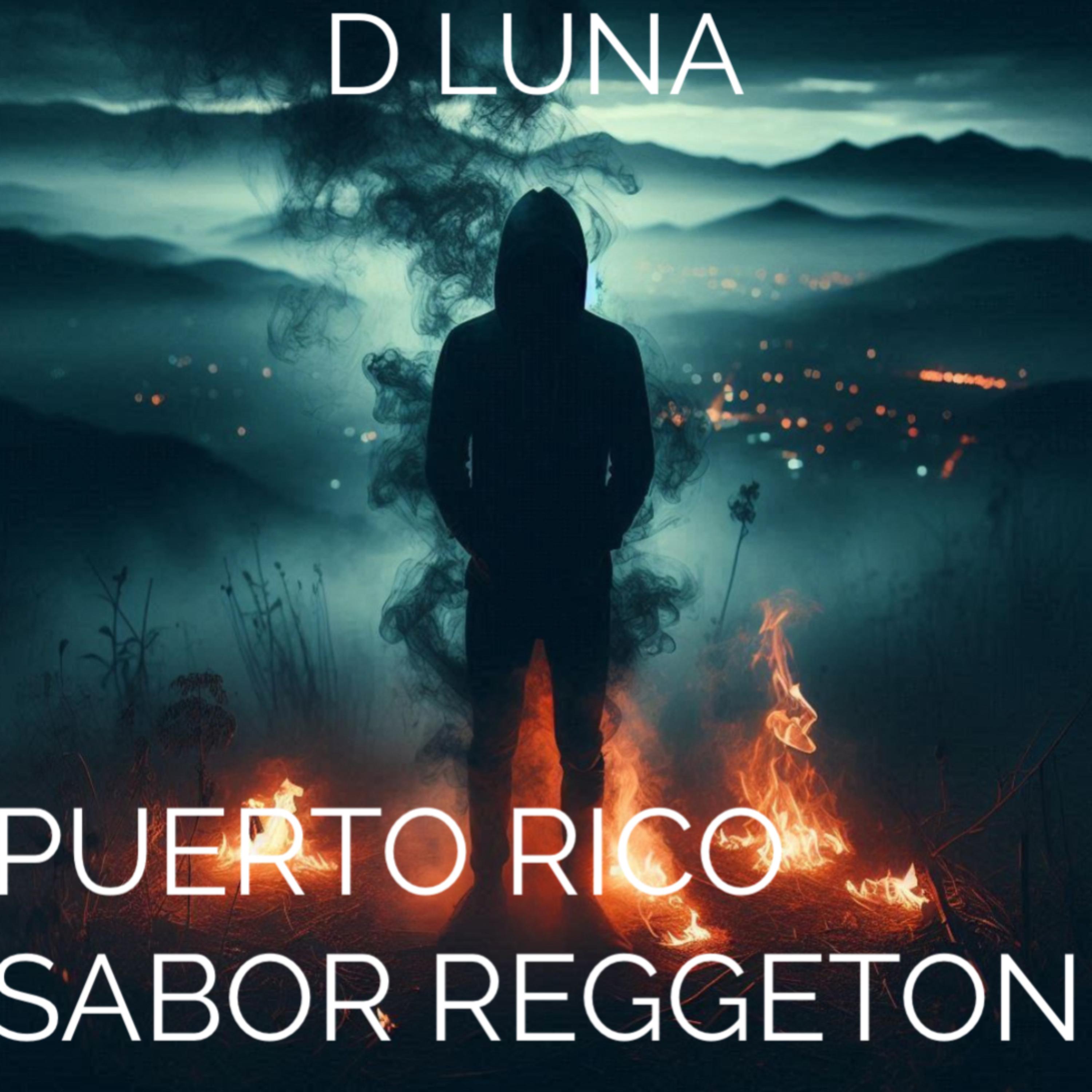Puerto Rico Sabor Reggeton artwork