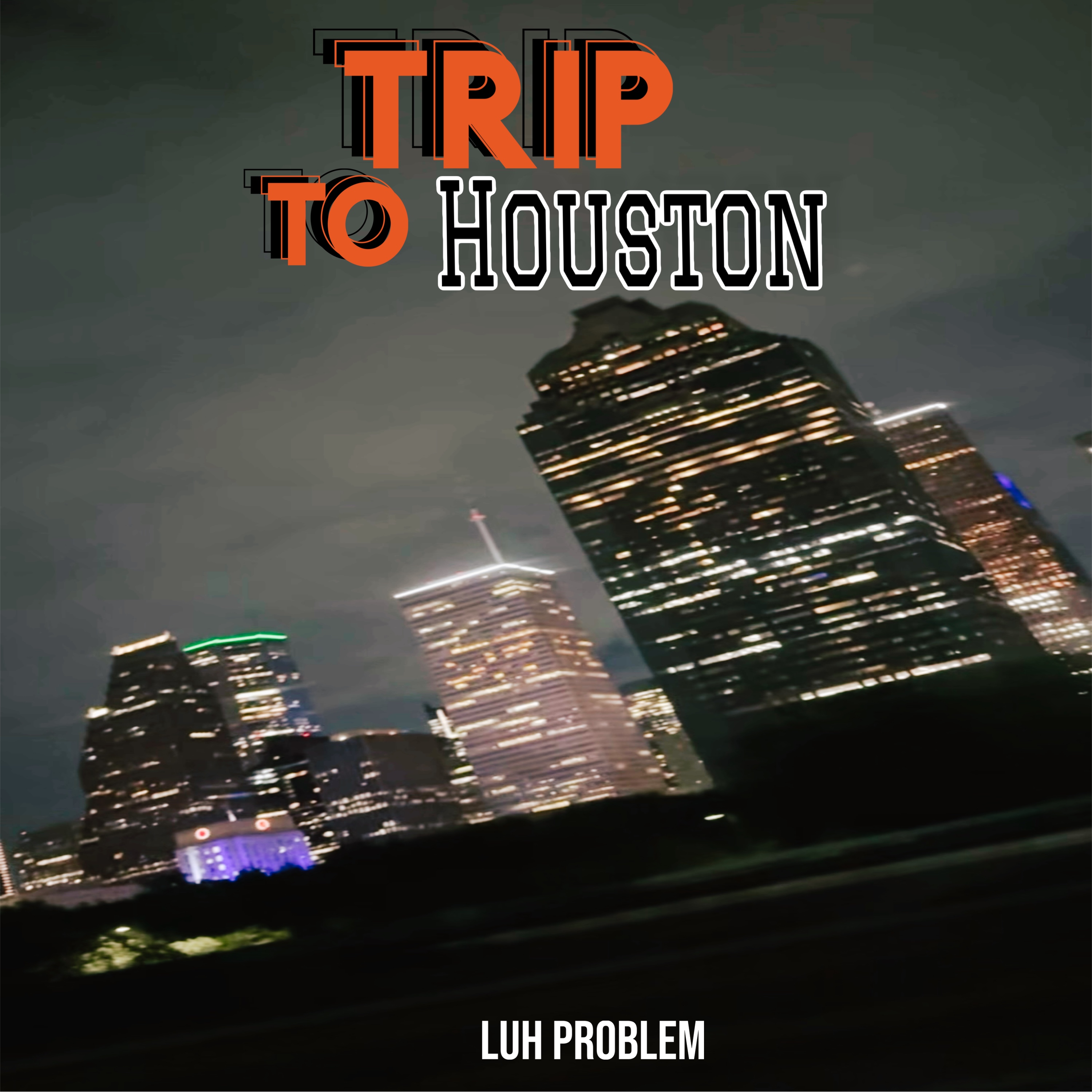 Trip To Houston artwork