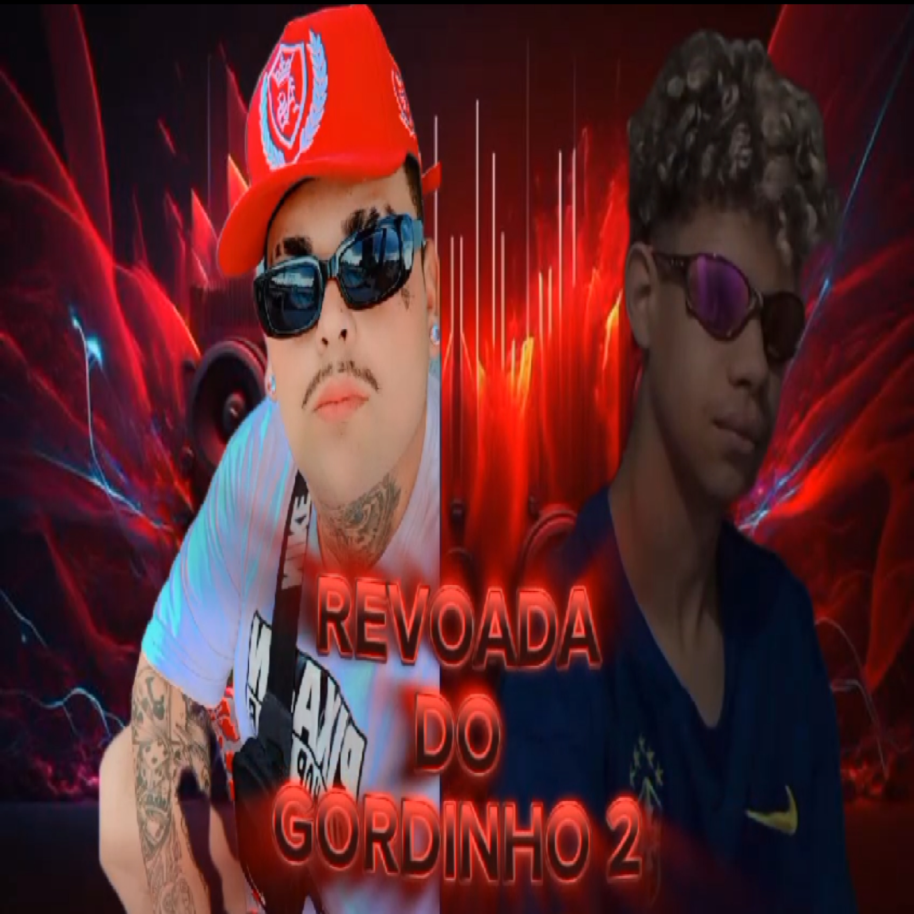 REVOADA DO GORDINHO 2 artwork