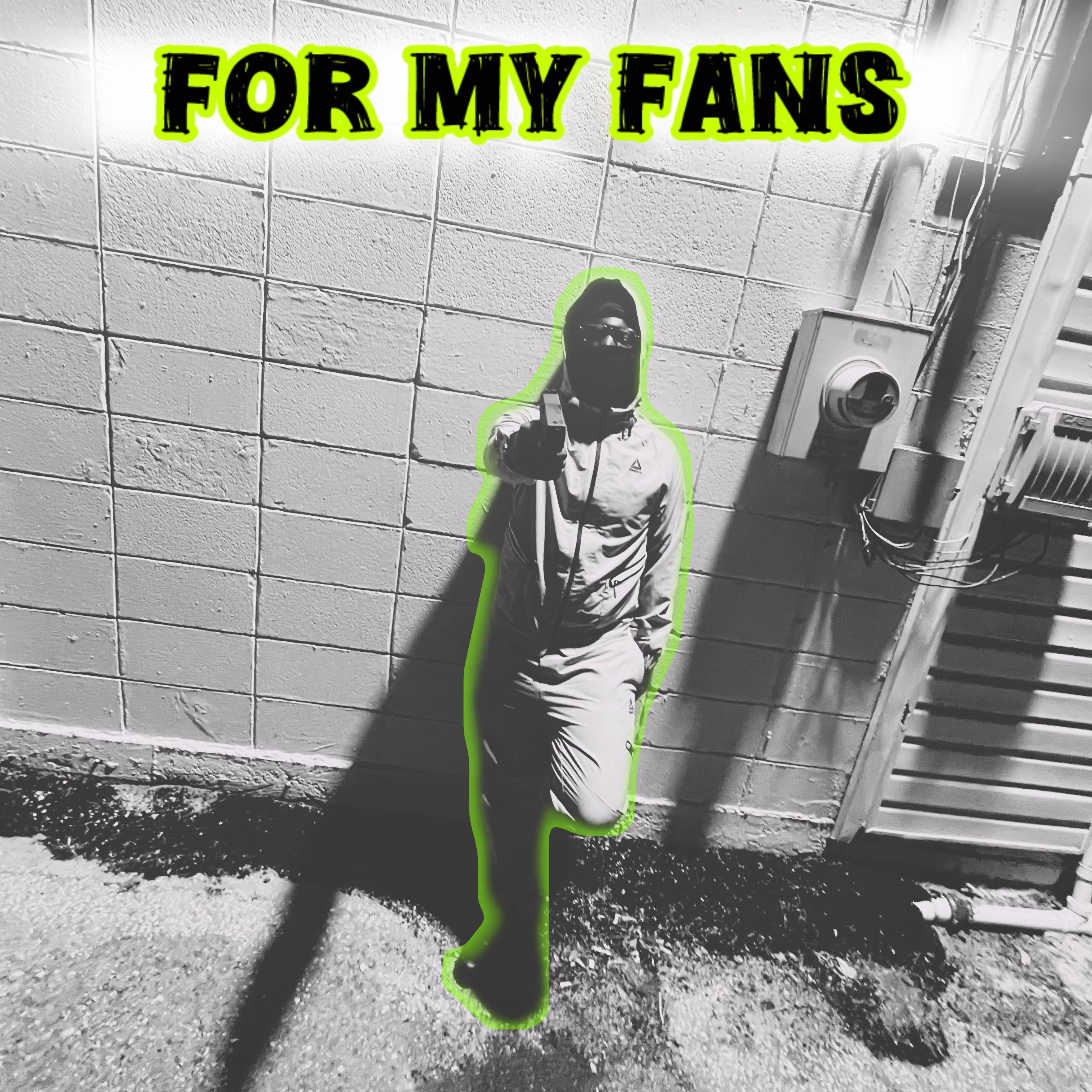 For My Fans artwork