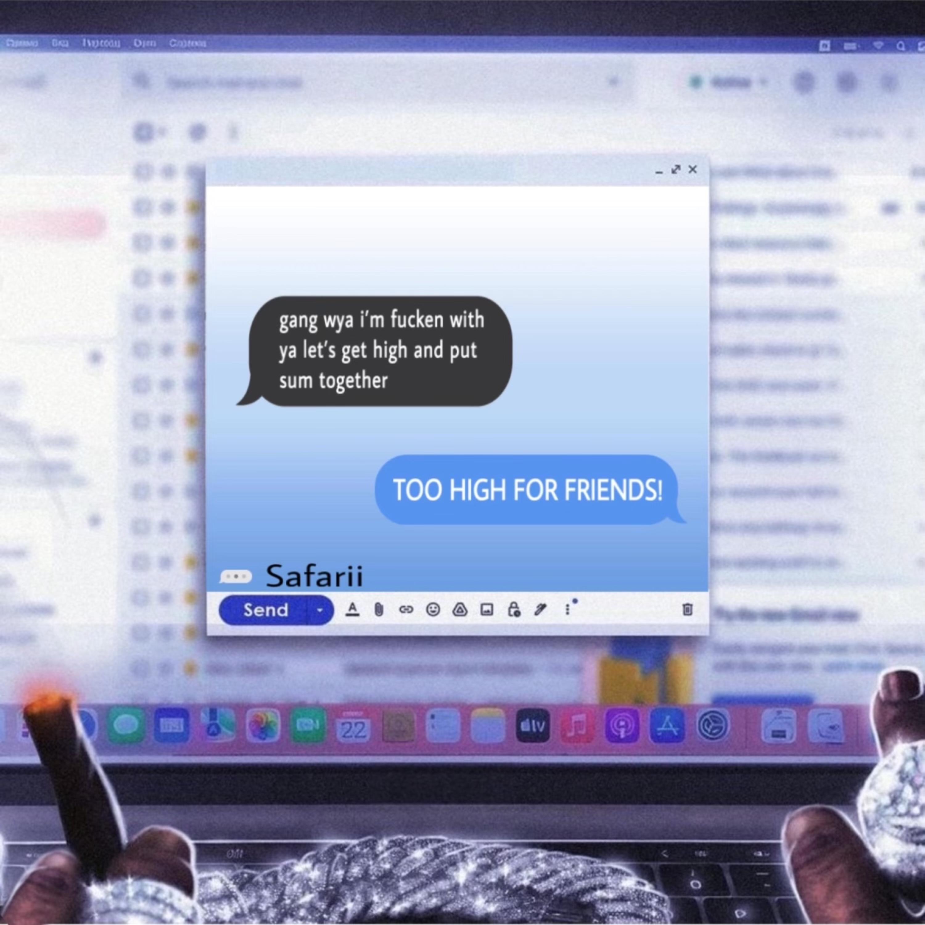 Too High For Friends ! artwork